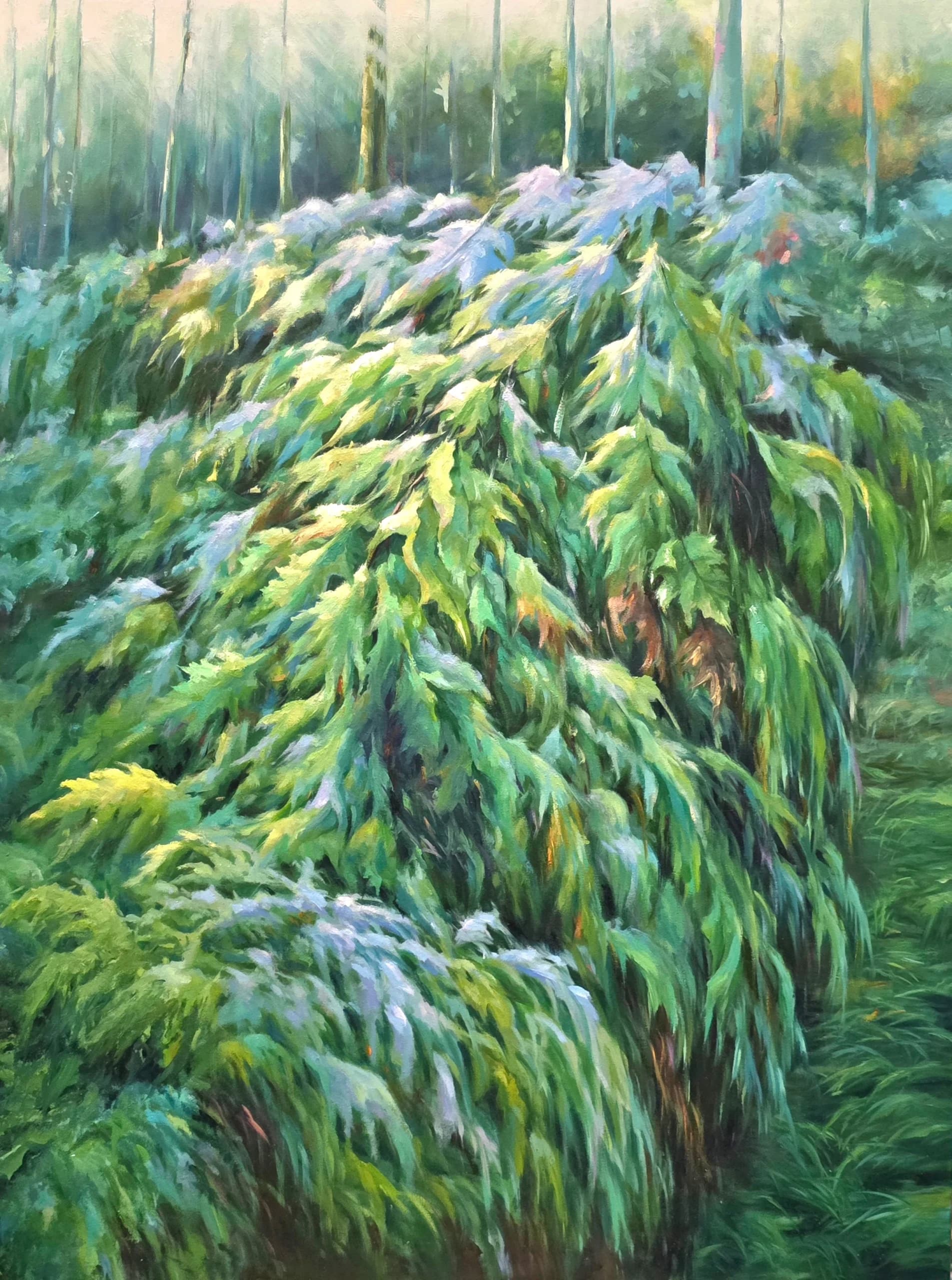 Artist-Là où la forêt respire