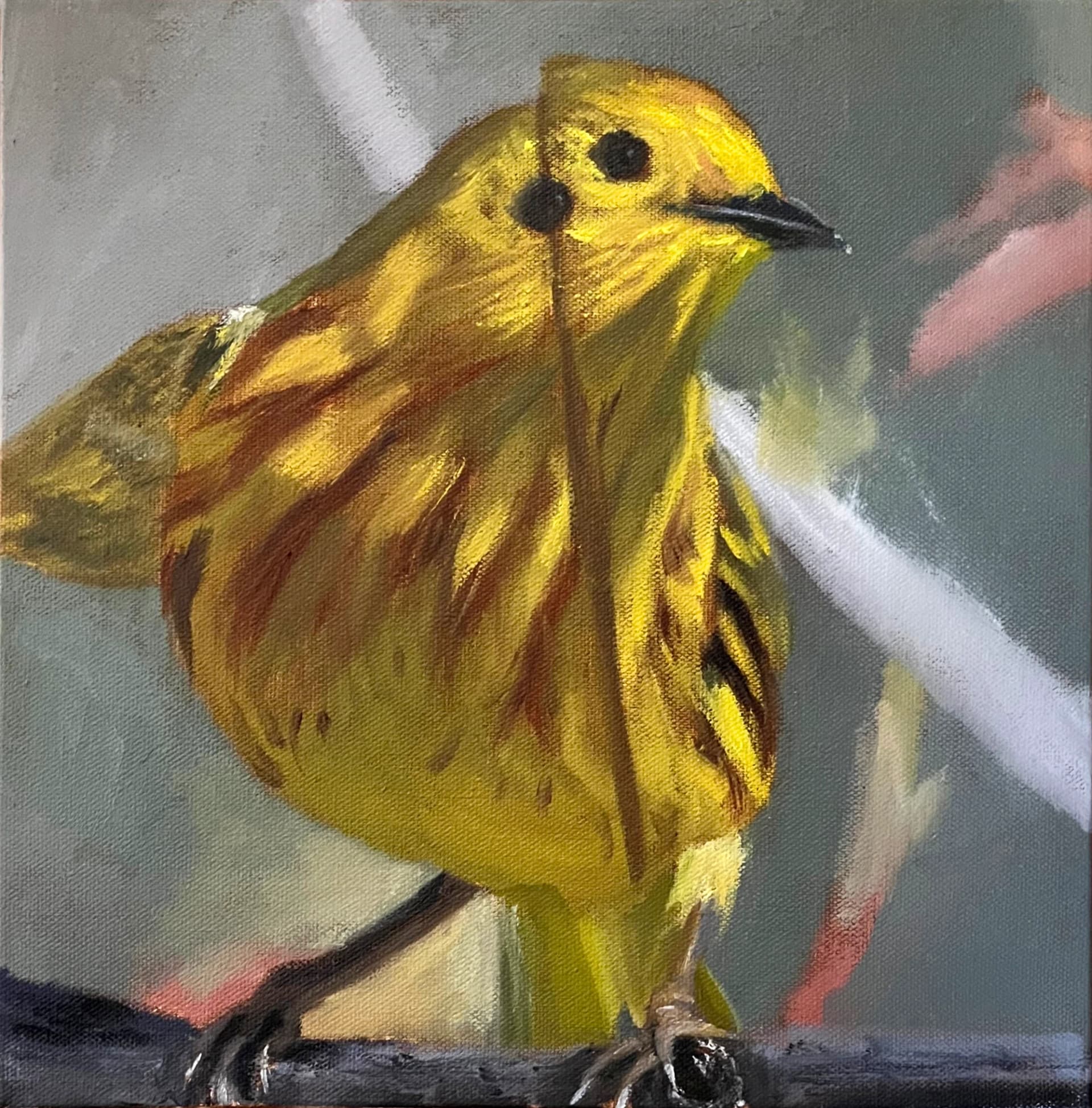 Artist-Fauvette jaune