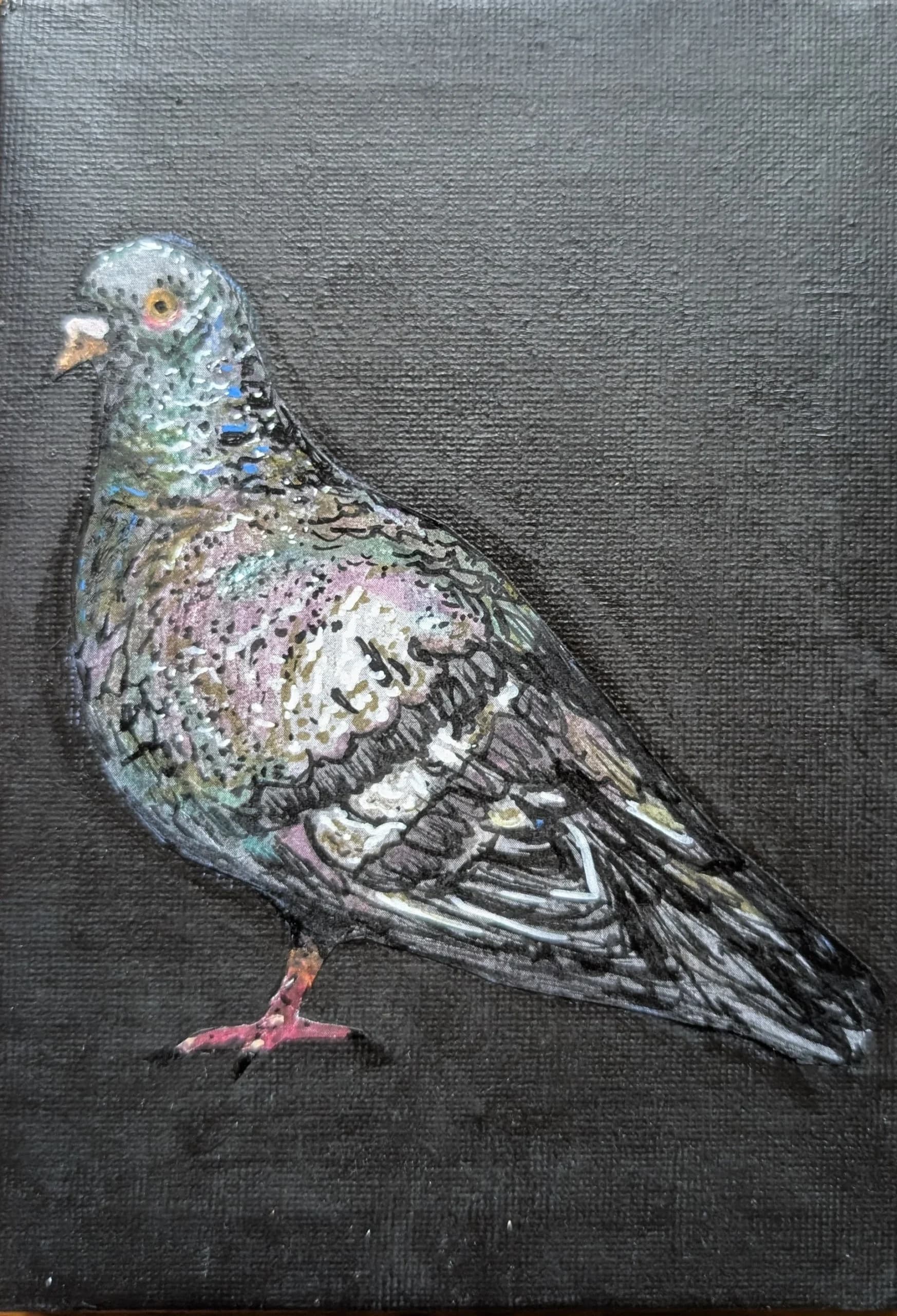 Artist-Pigeon