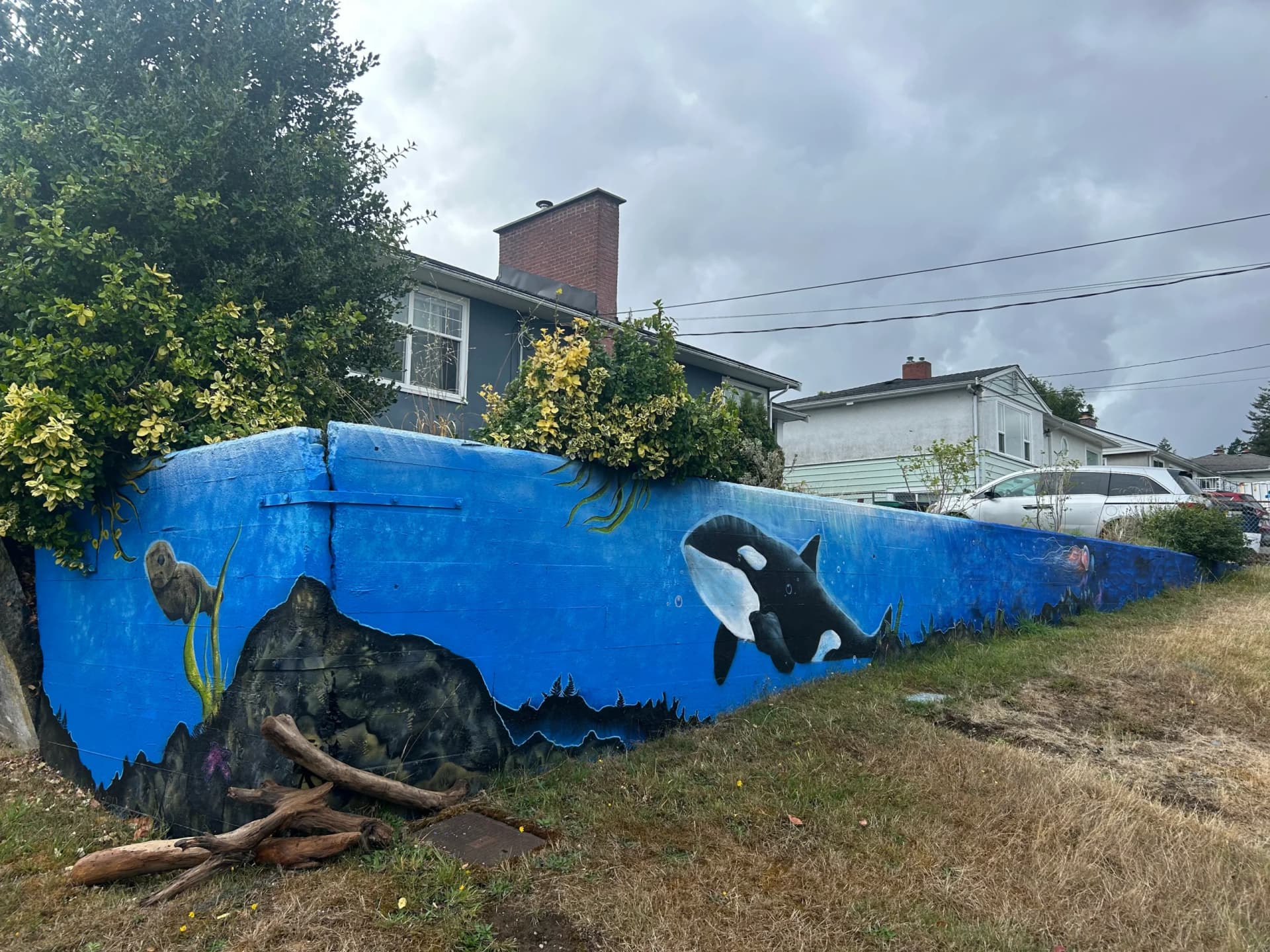 Marine Mural — Nanaimo