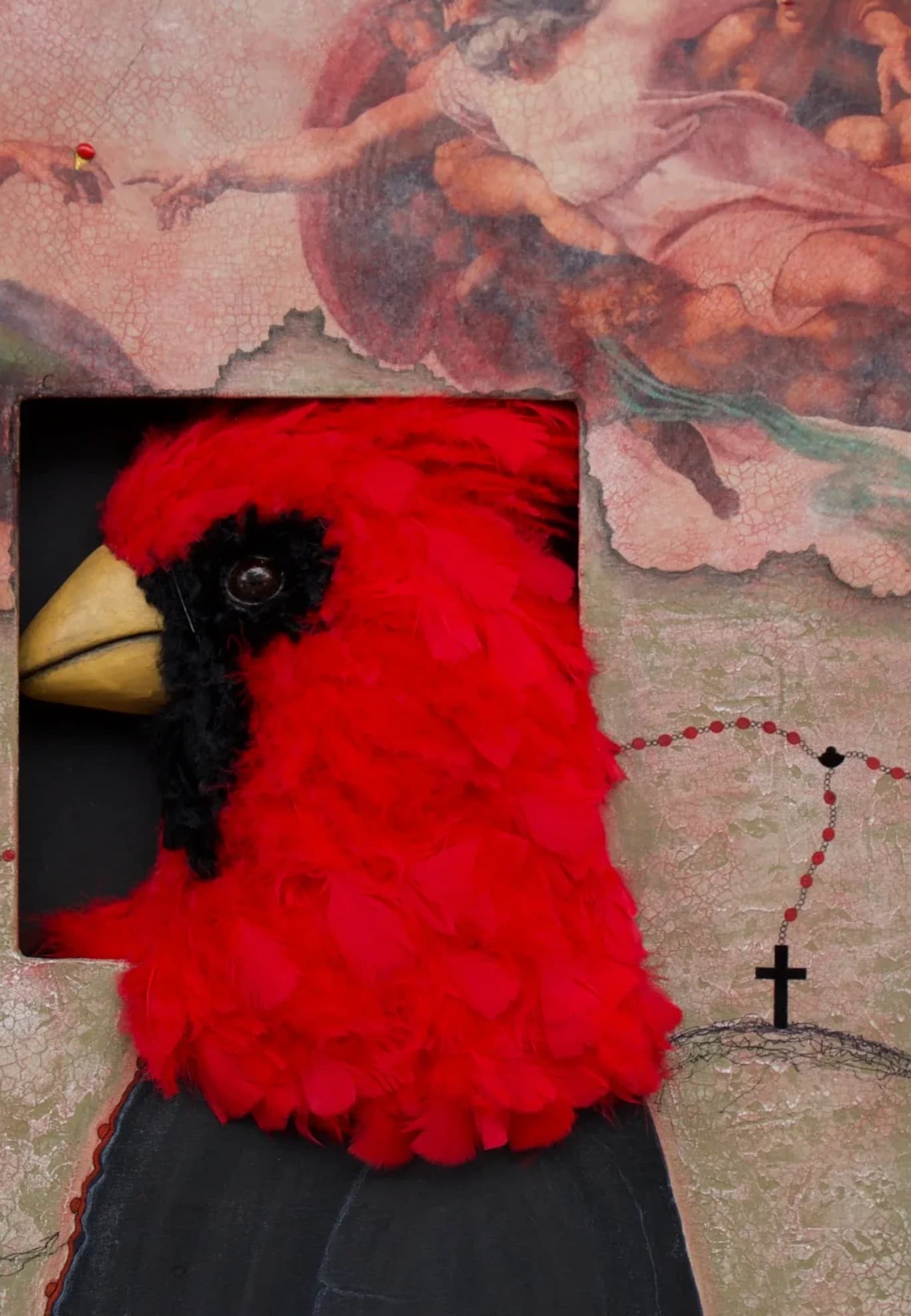 Le cardinal.