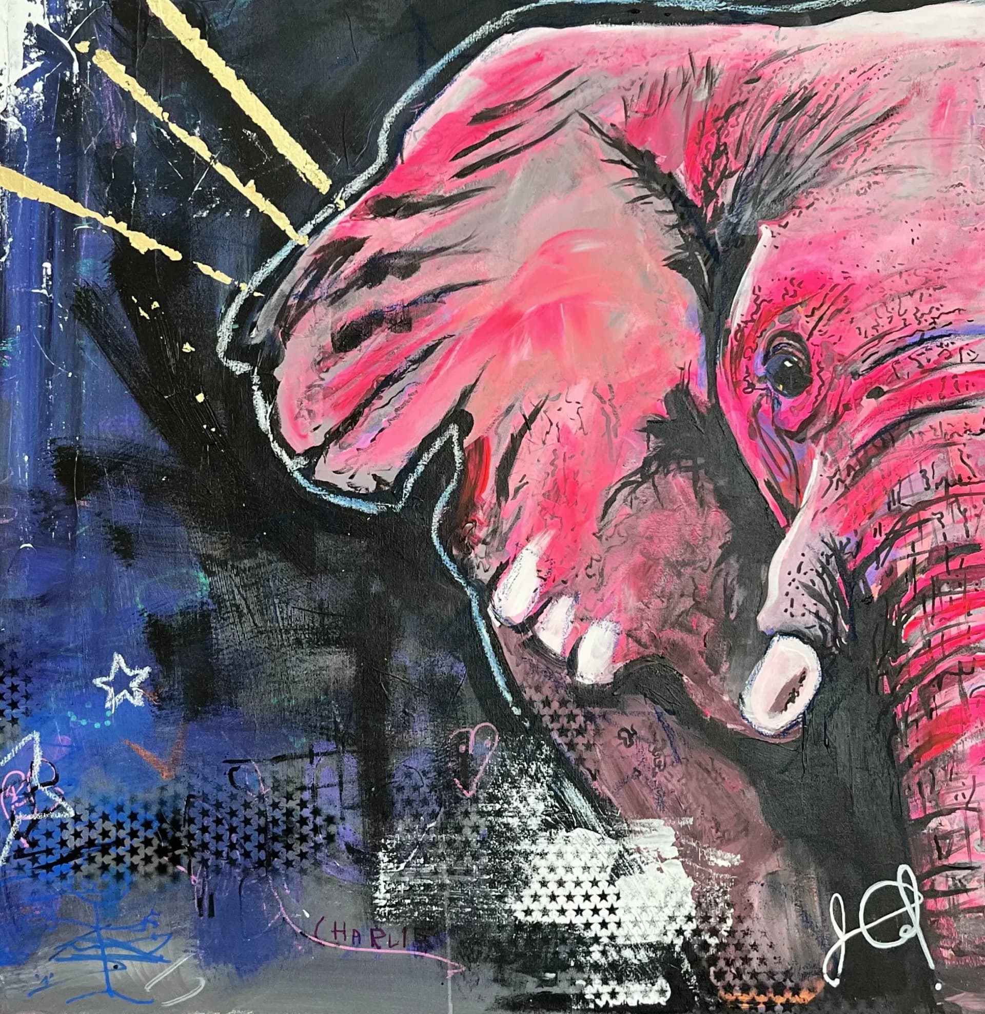 CHARLO THE PINK ELEPHANT