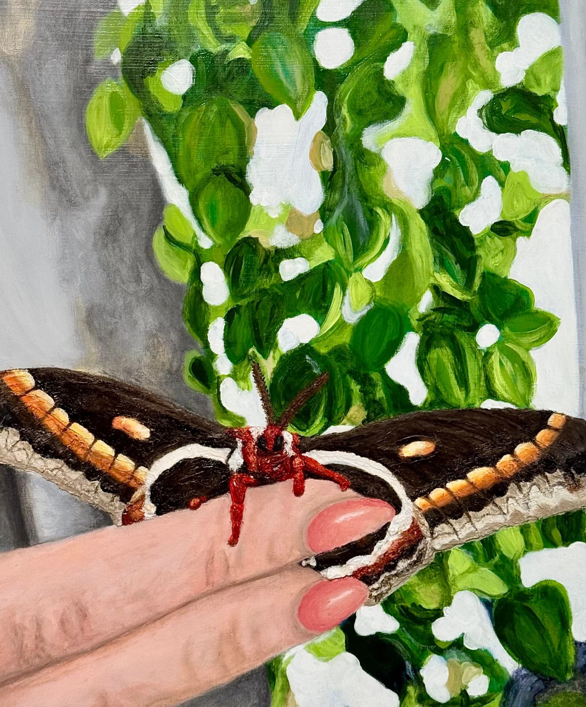 Cecropia