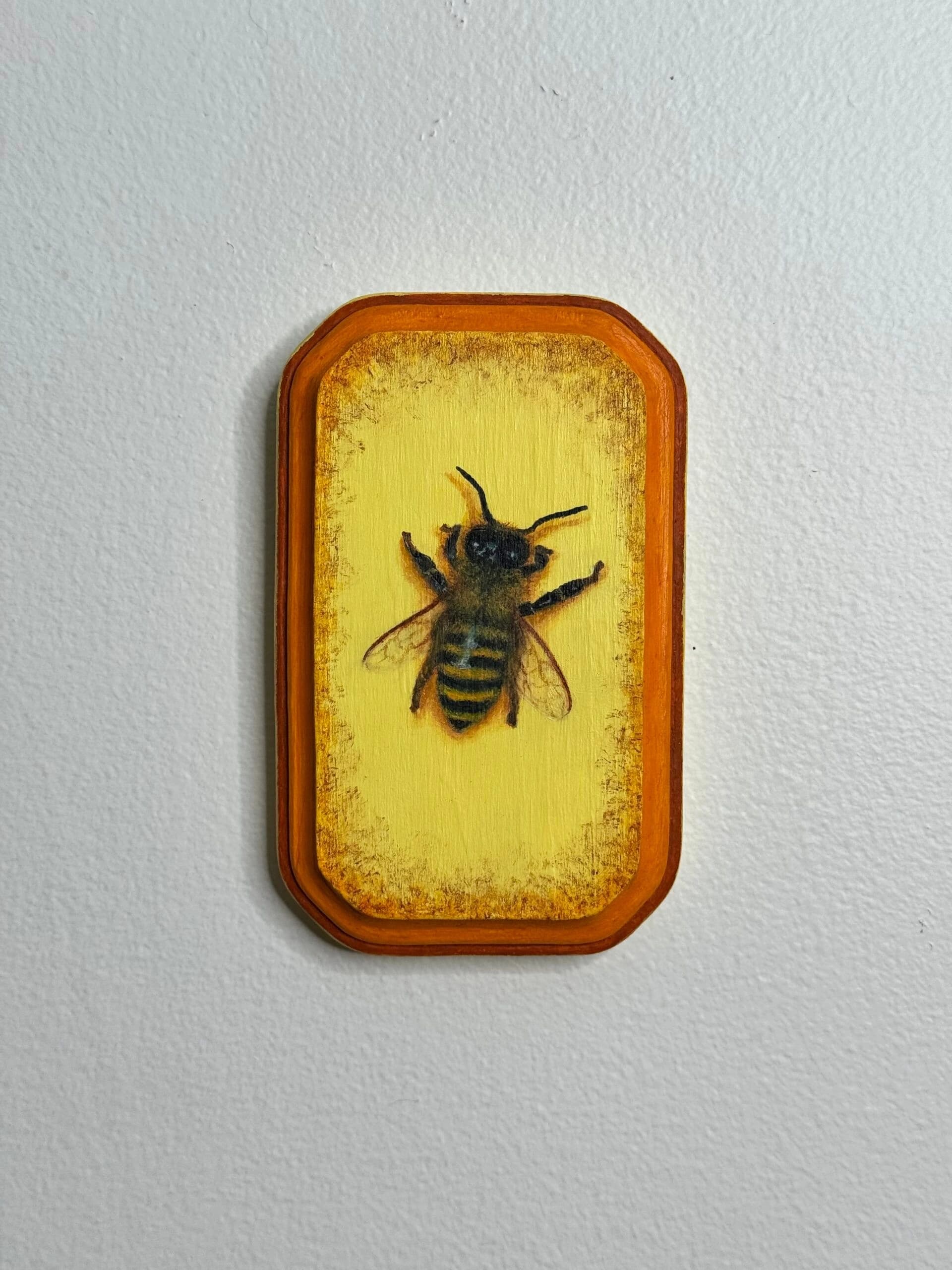 Western Honey Bee