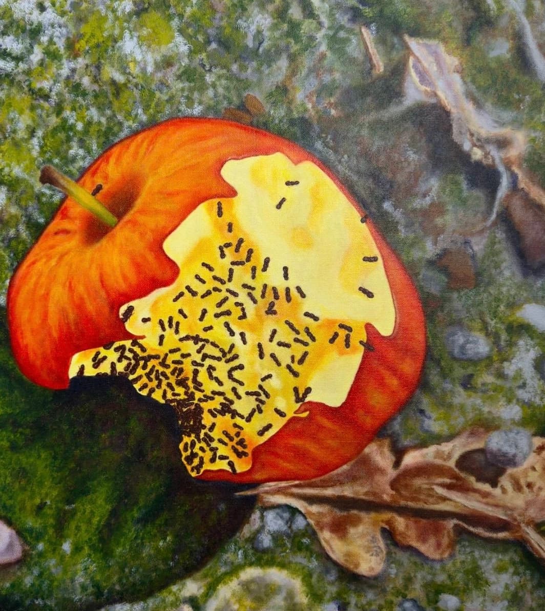 Compassionocene