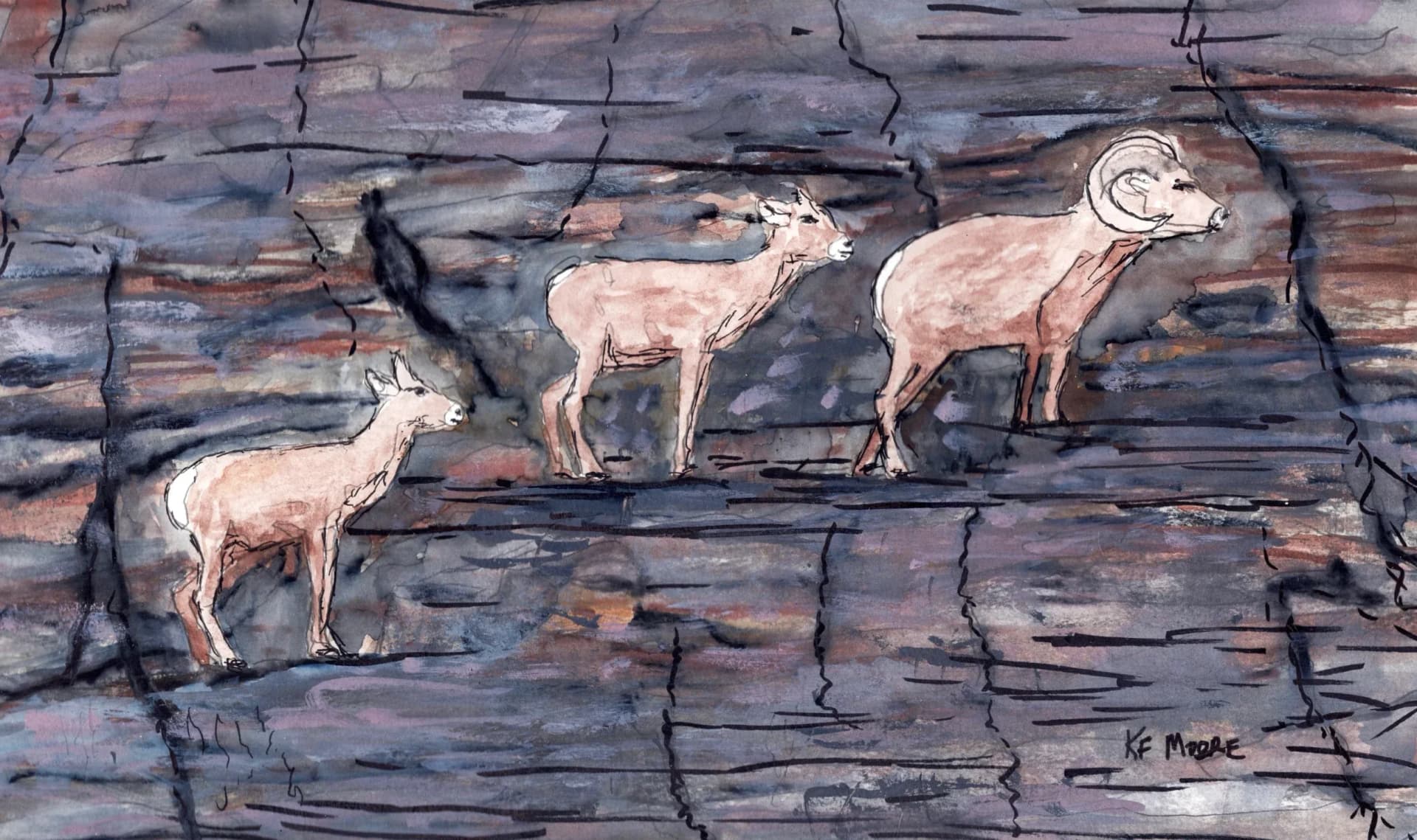 Counting Big Horn Sheep in the Grand Canyon