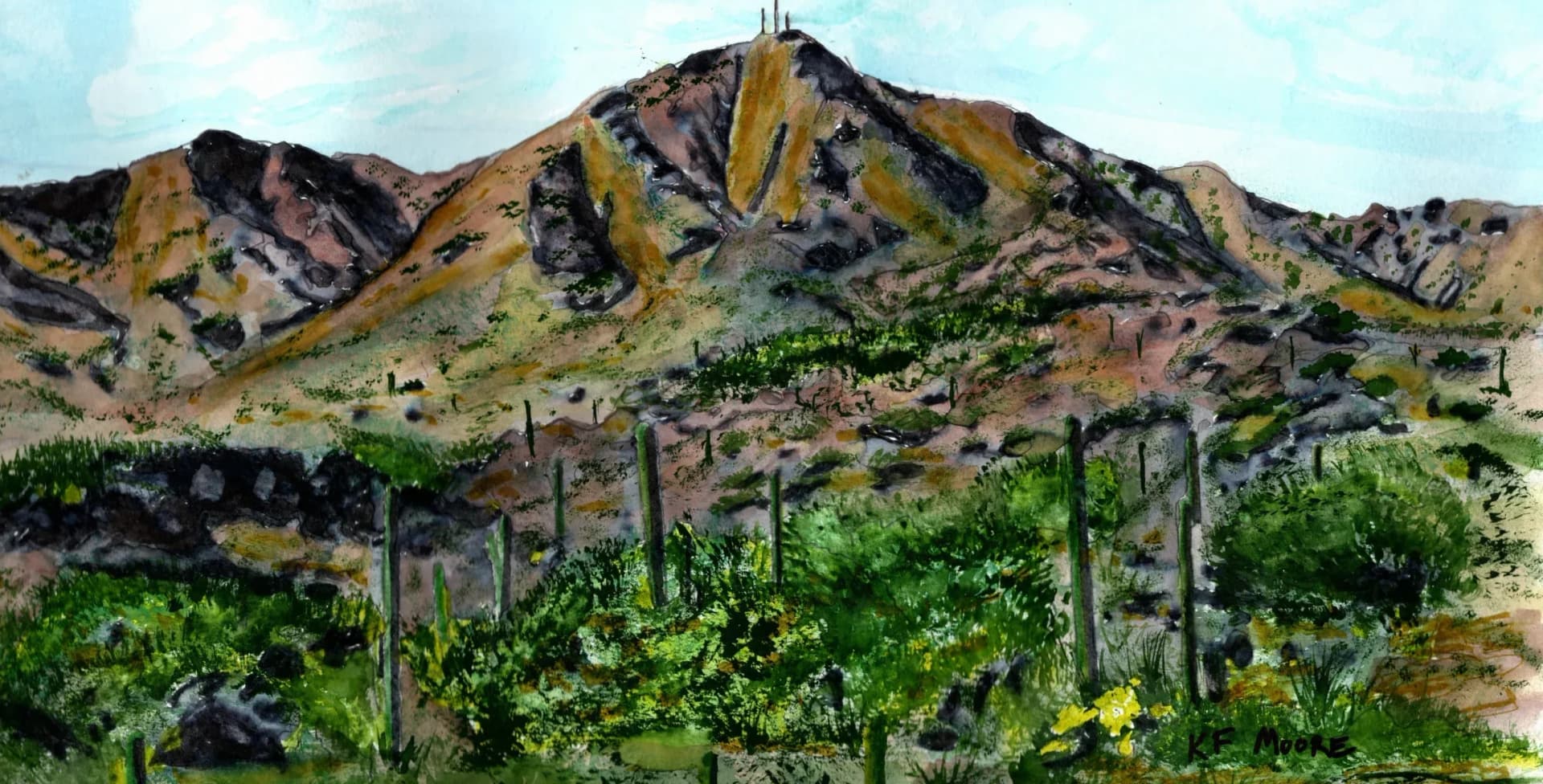 McDowell Mountains