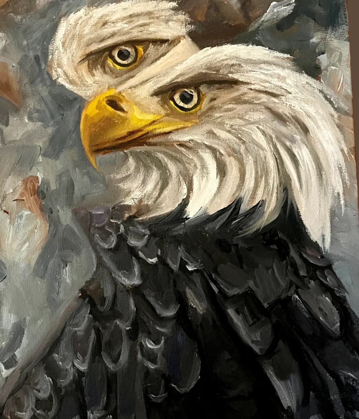 Bald Eagle