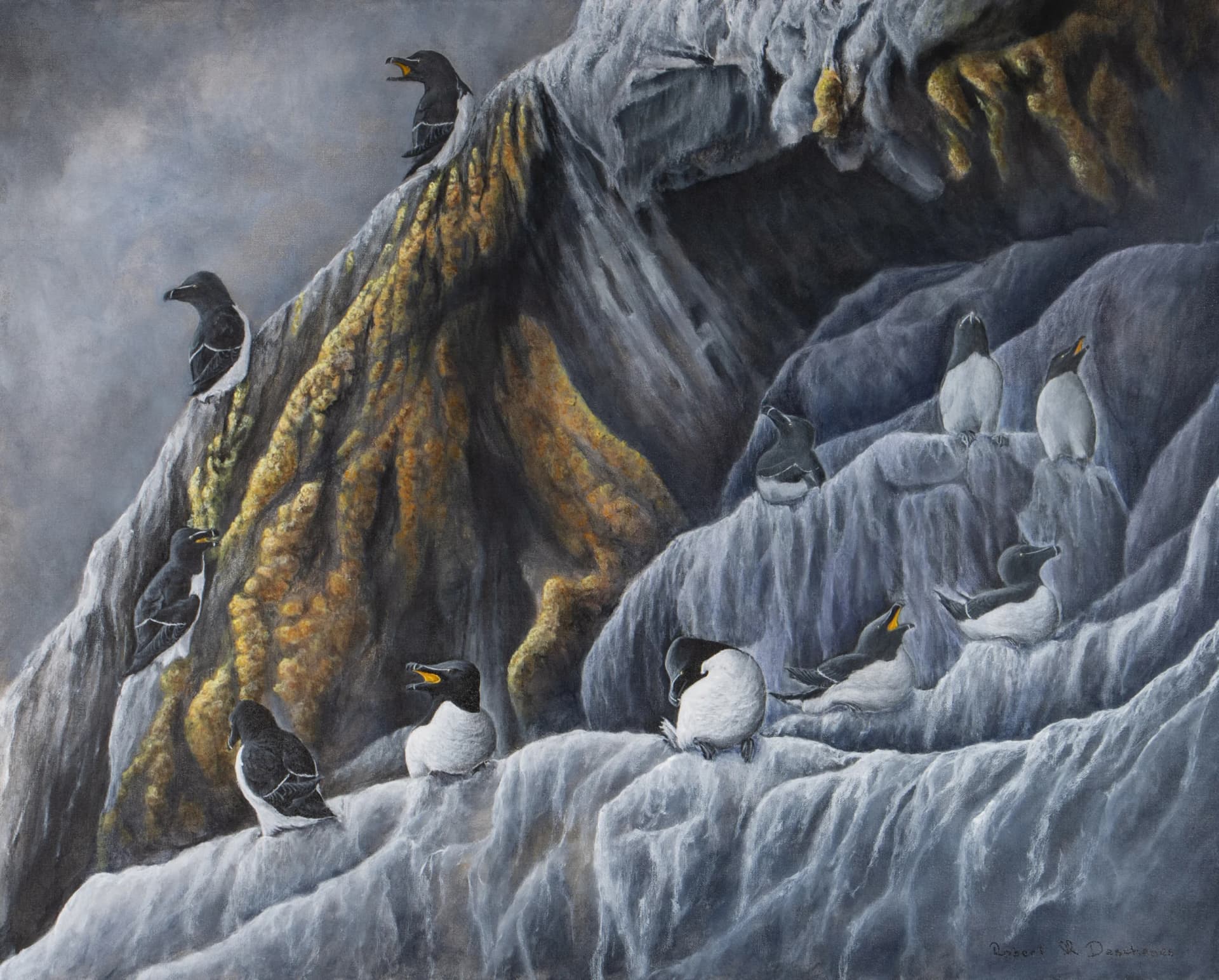 Artist-Petits Pingouins