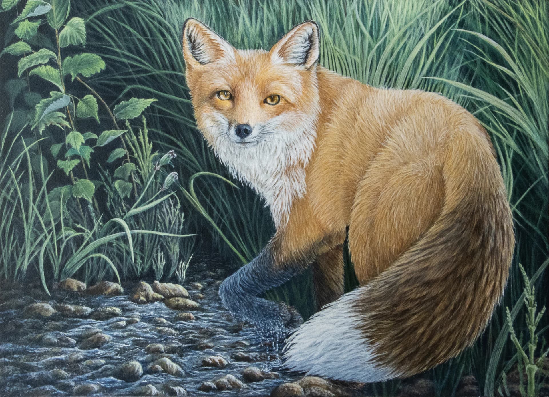 Artist-Renard Roux