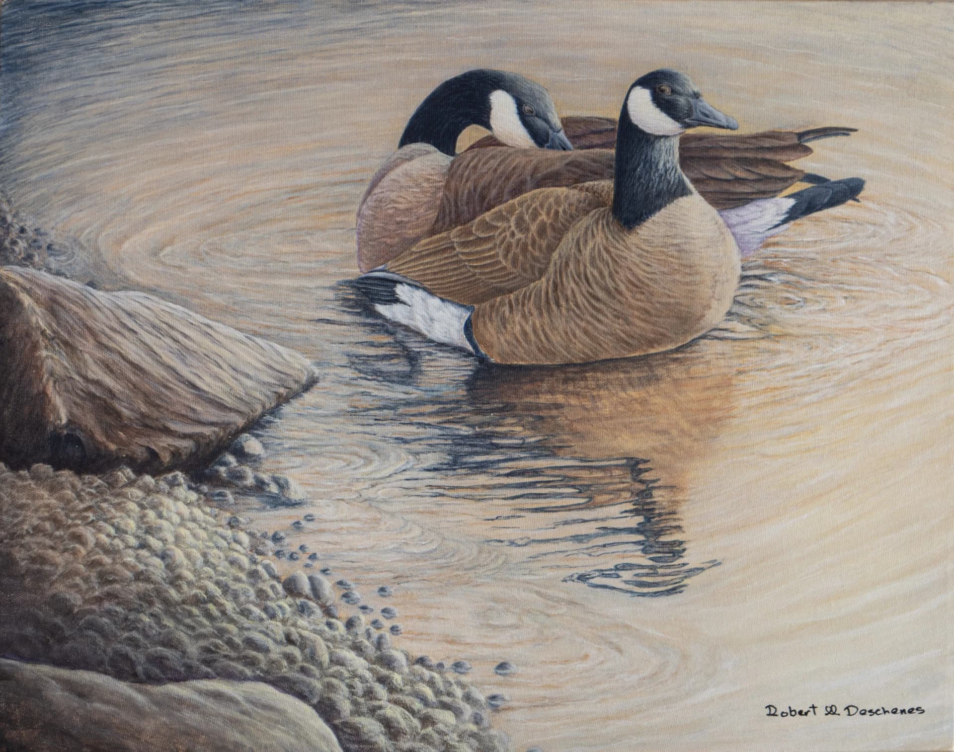 Artist-Bernaches du Canada