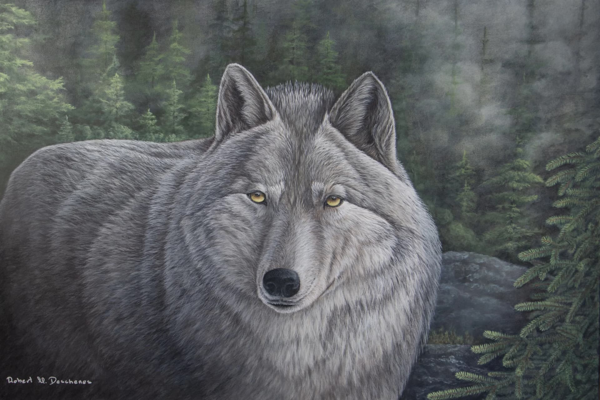 Artist-Loup Gris