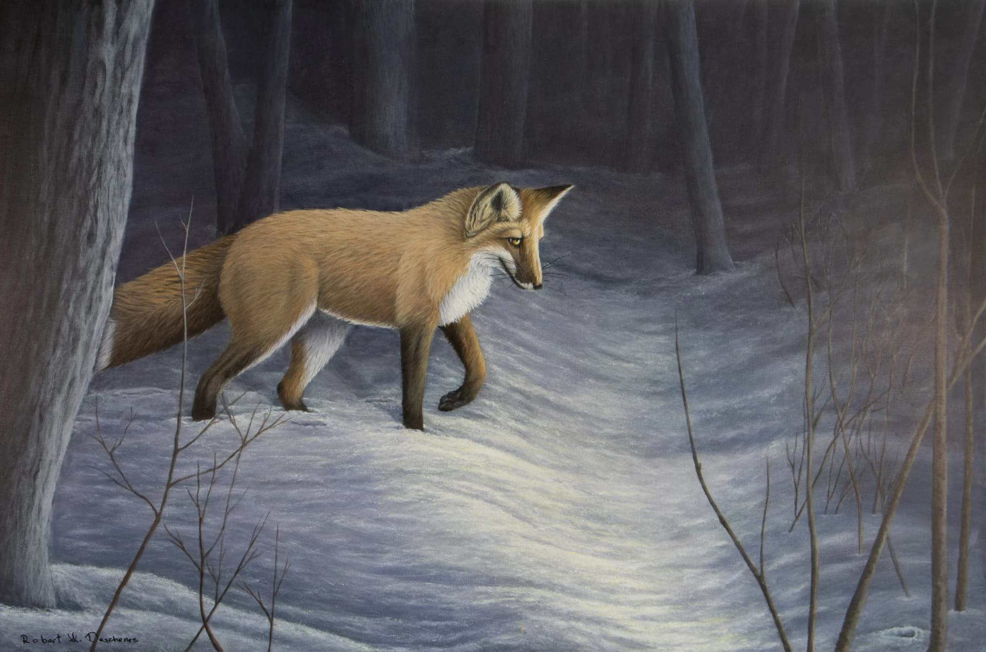 Artist-Renard Roux