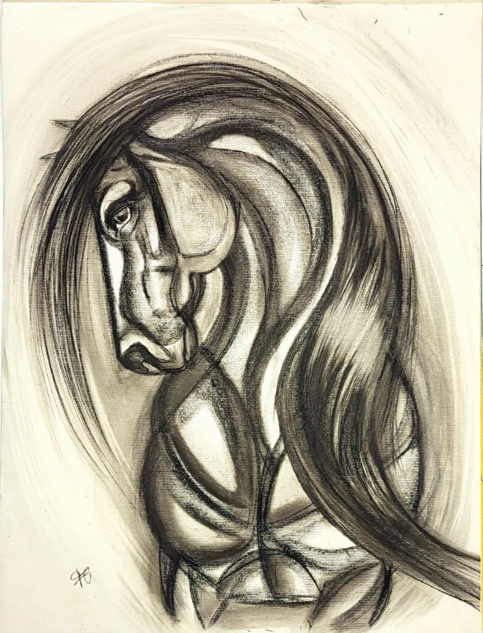 Artist-Crins et courbes