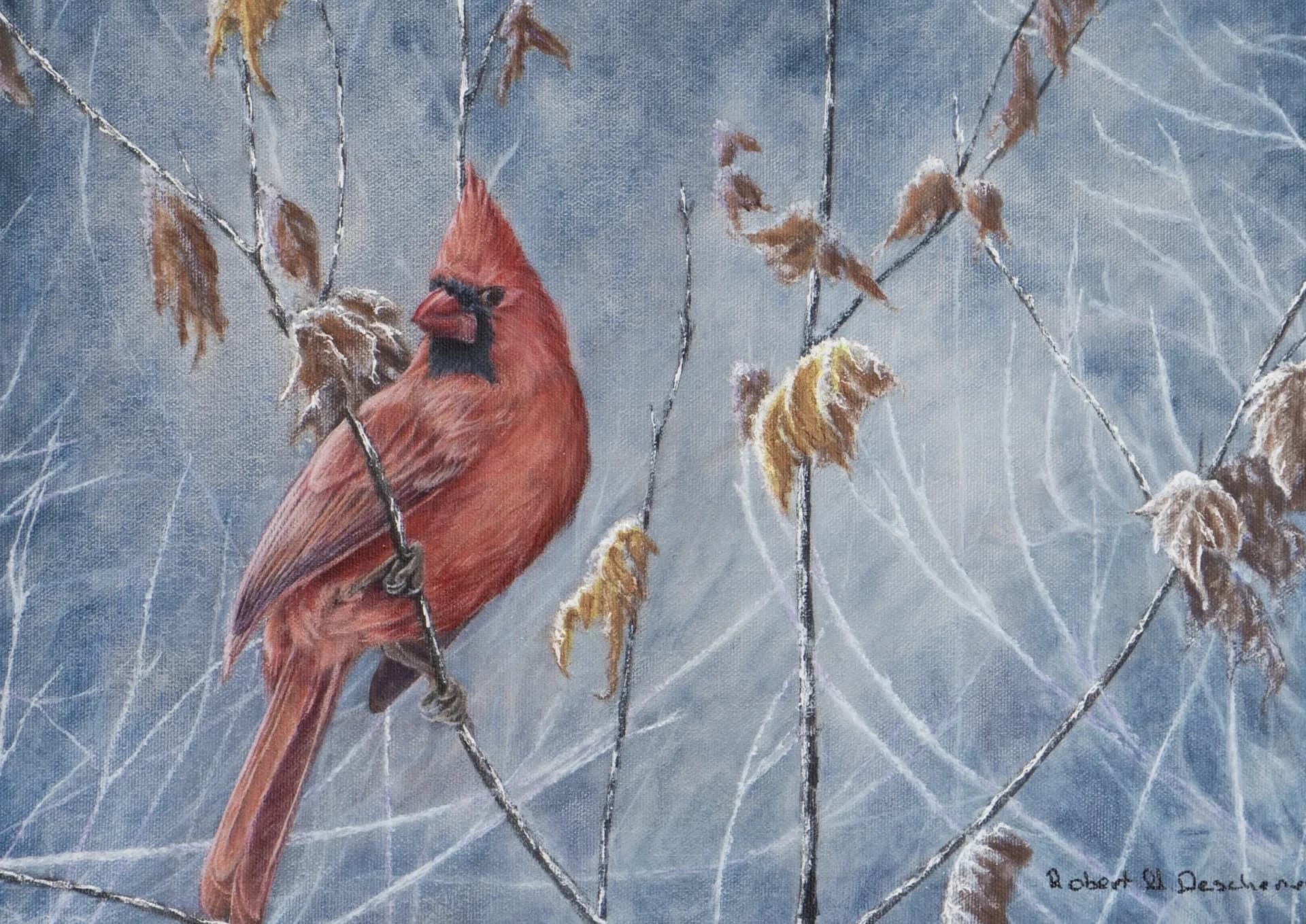 Cardinal Rouge