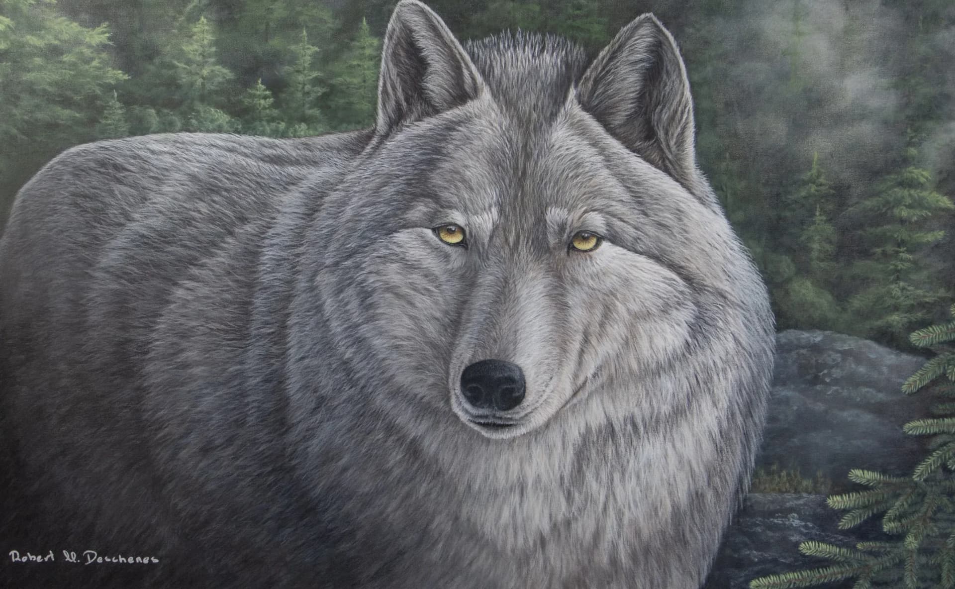 Loup Gris