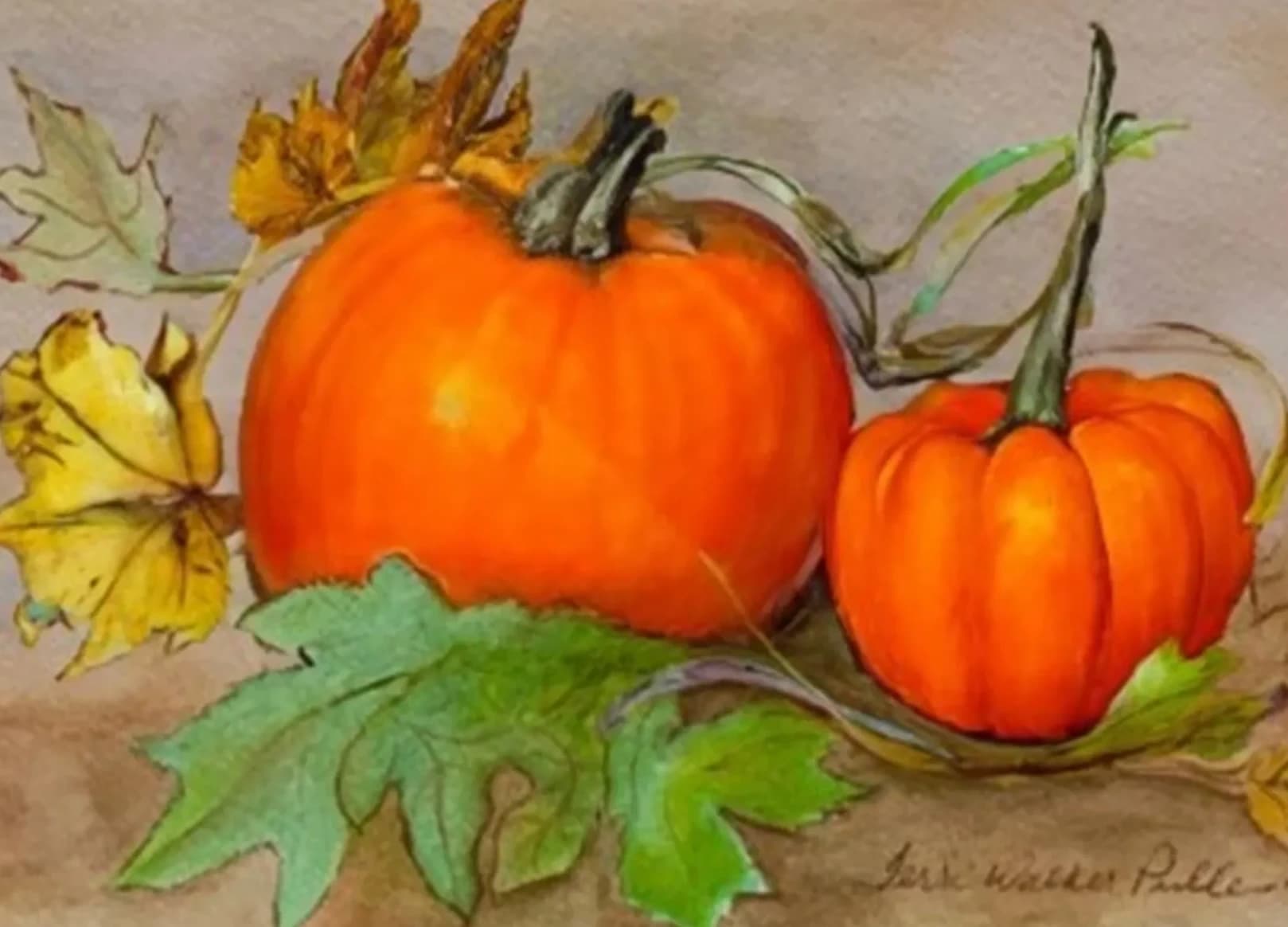 Citrouilles d’automne