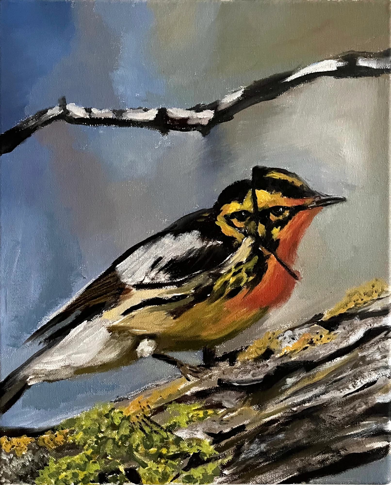Blackburnian Warbler