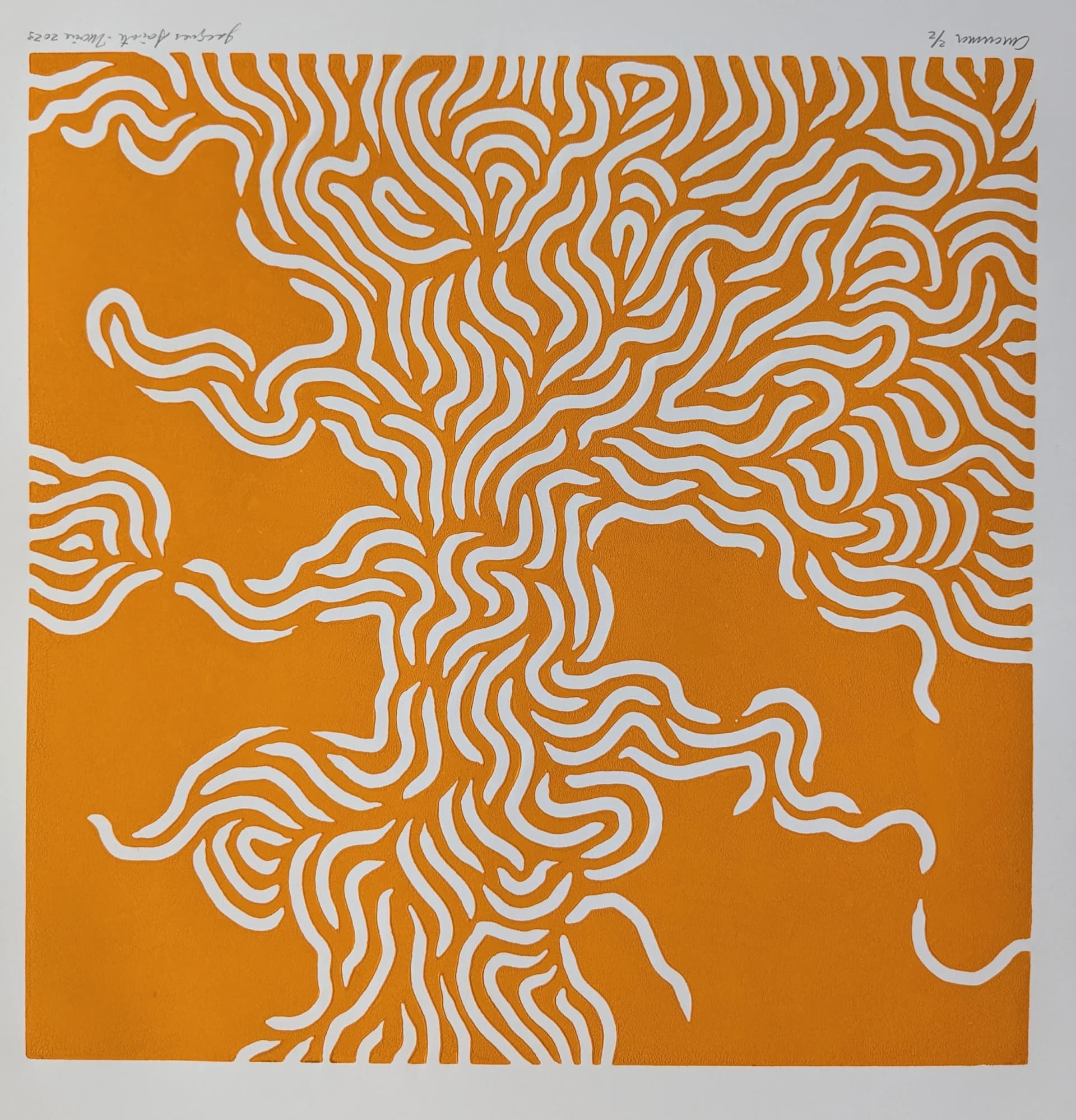 Artist-Curcuma 2/2