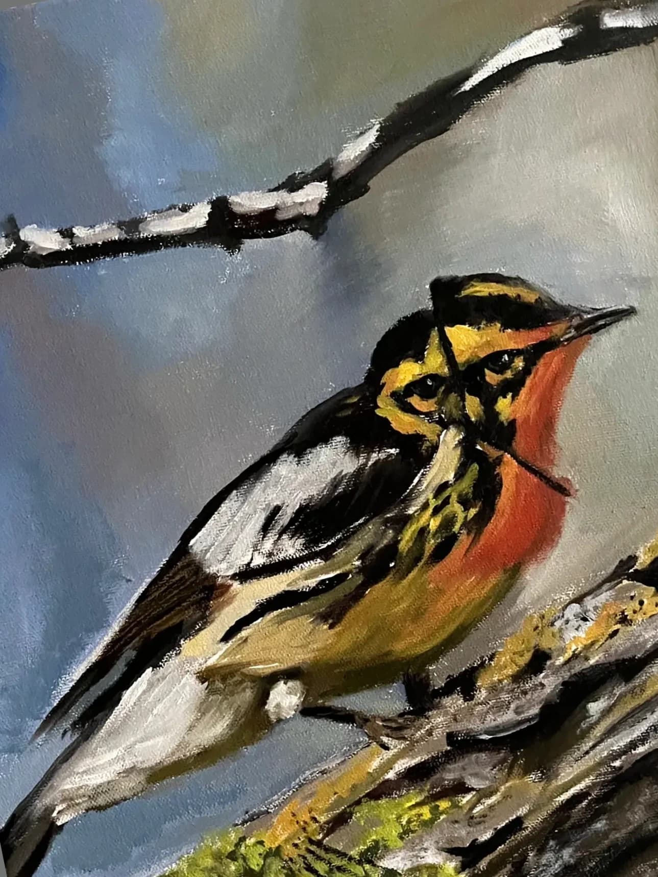 Blackburnian Warbler