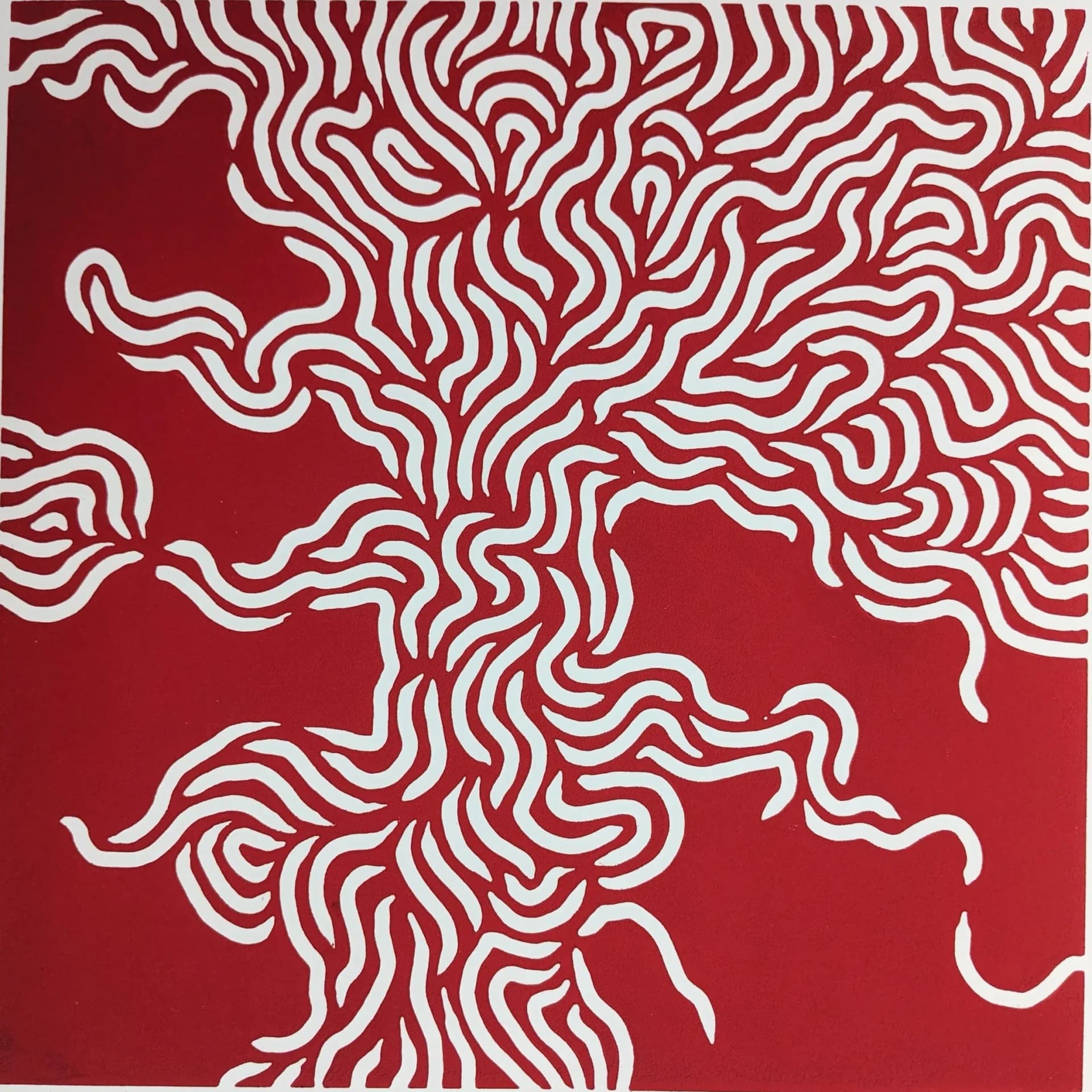 Tomato noodles 2/3