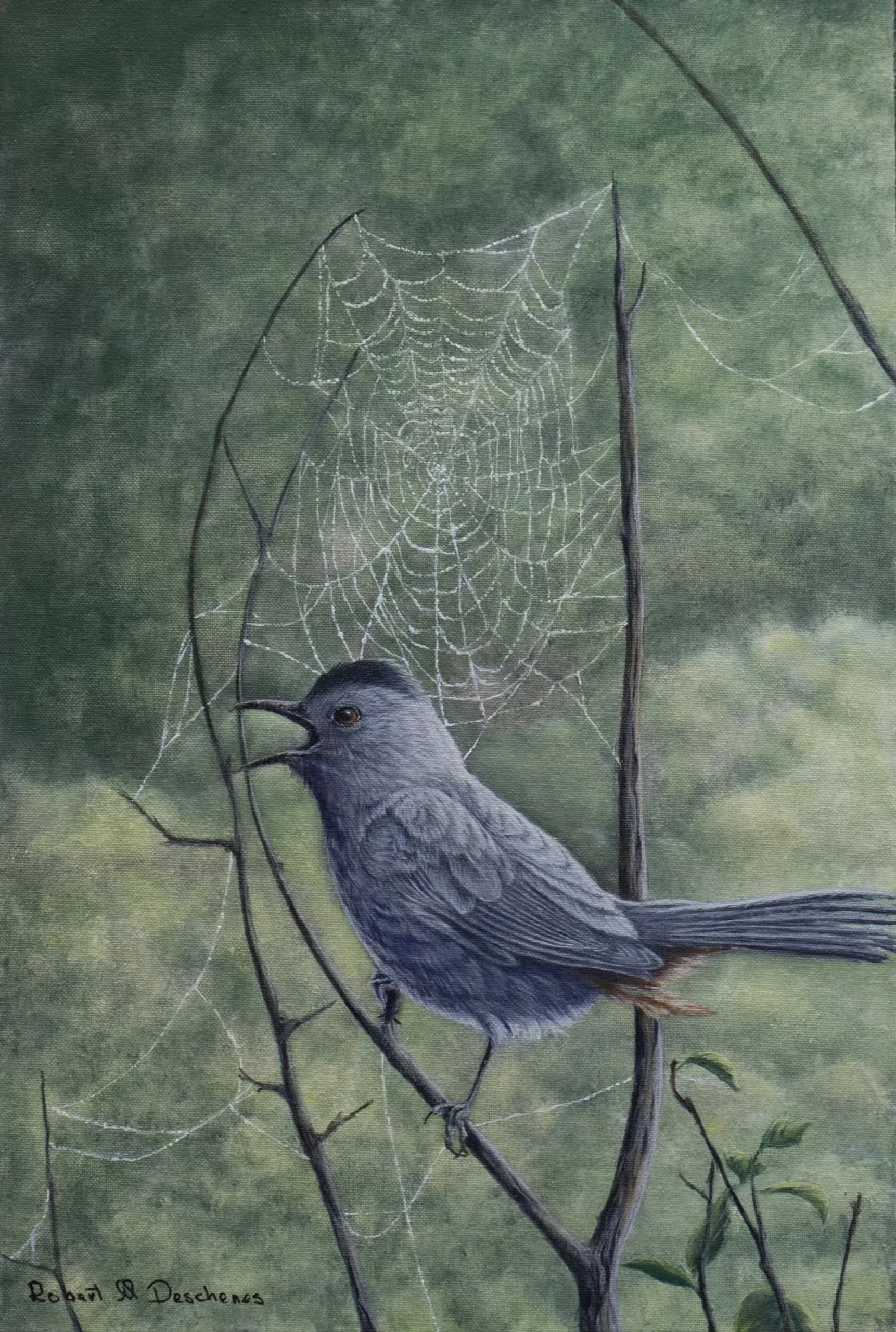 Artist-Moqueur chat