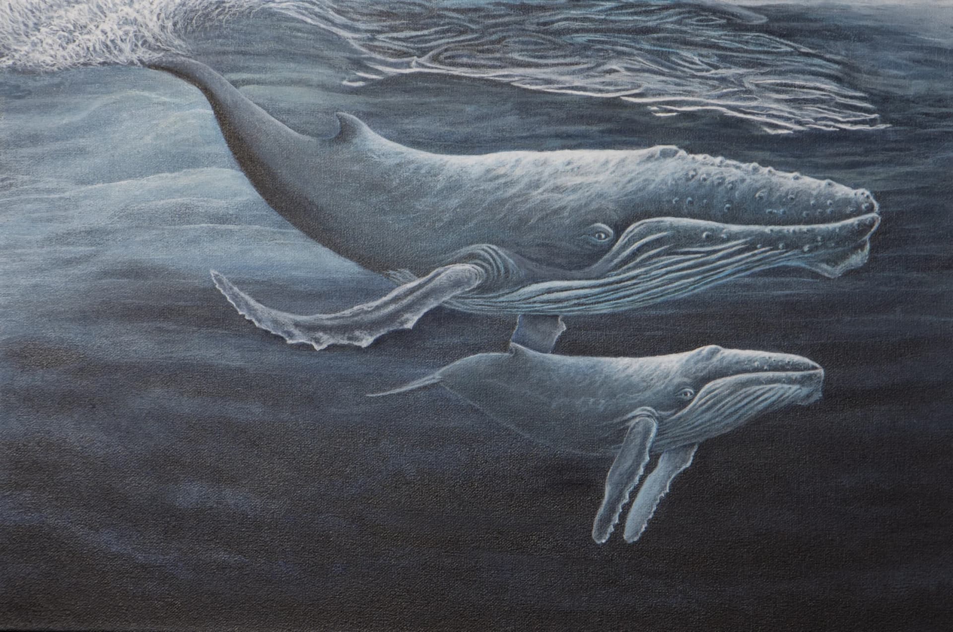 Artist-Baleines a bosse