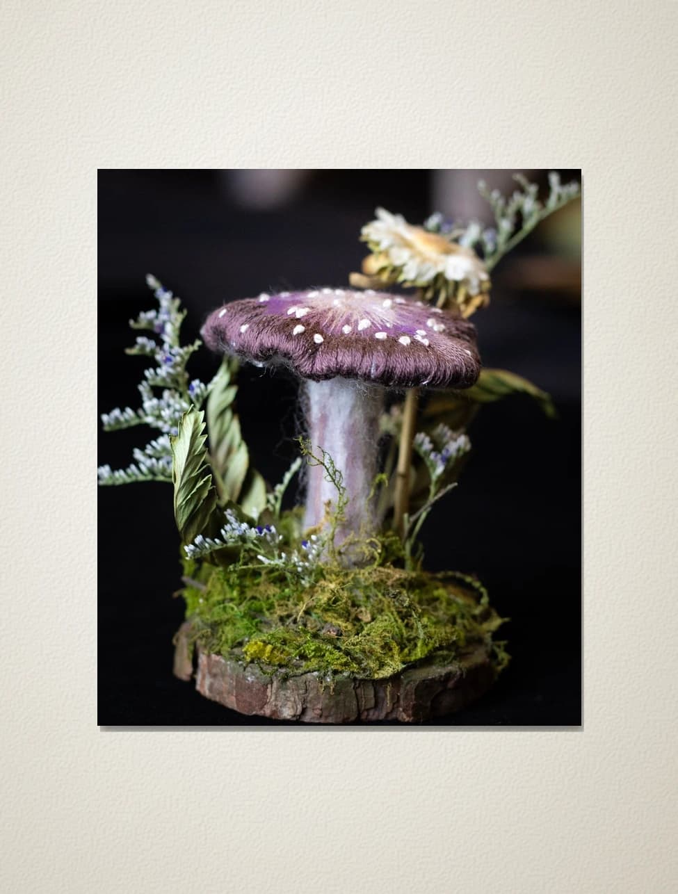 Cortinarius