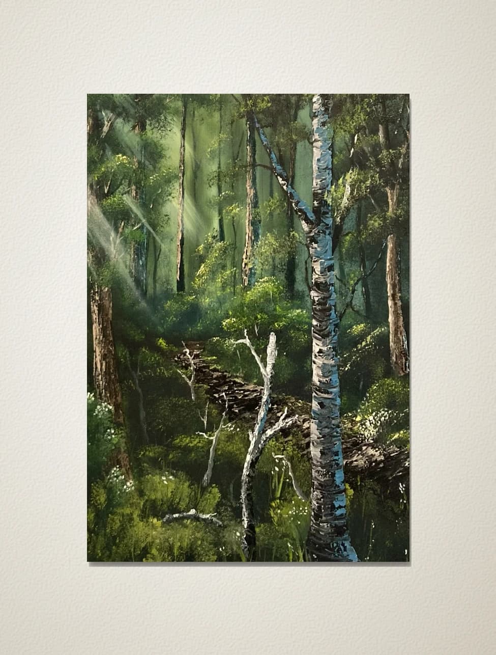 A Walk in the Woods