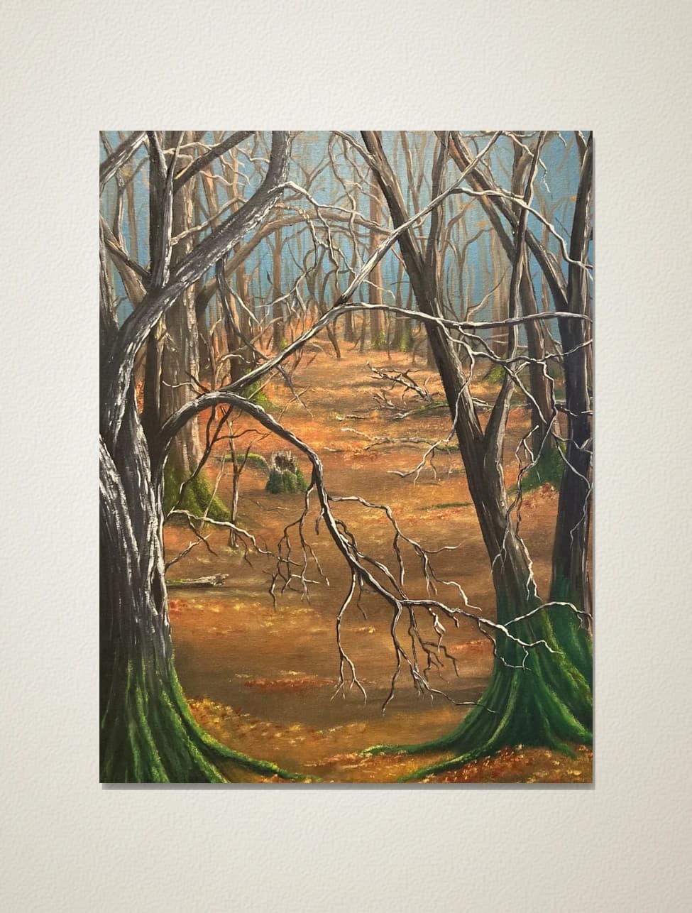 Mossy Trees