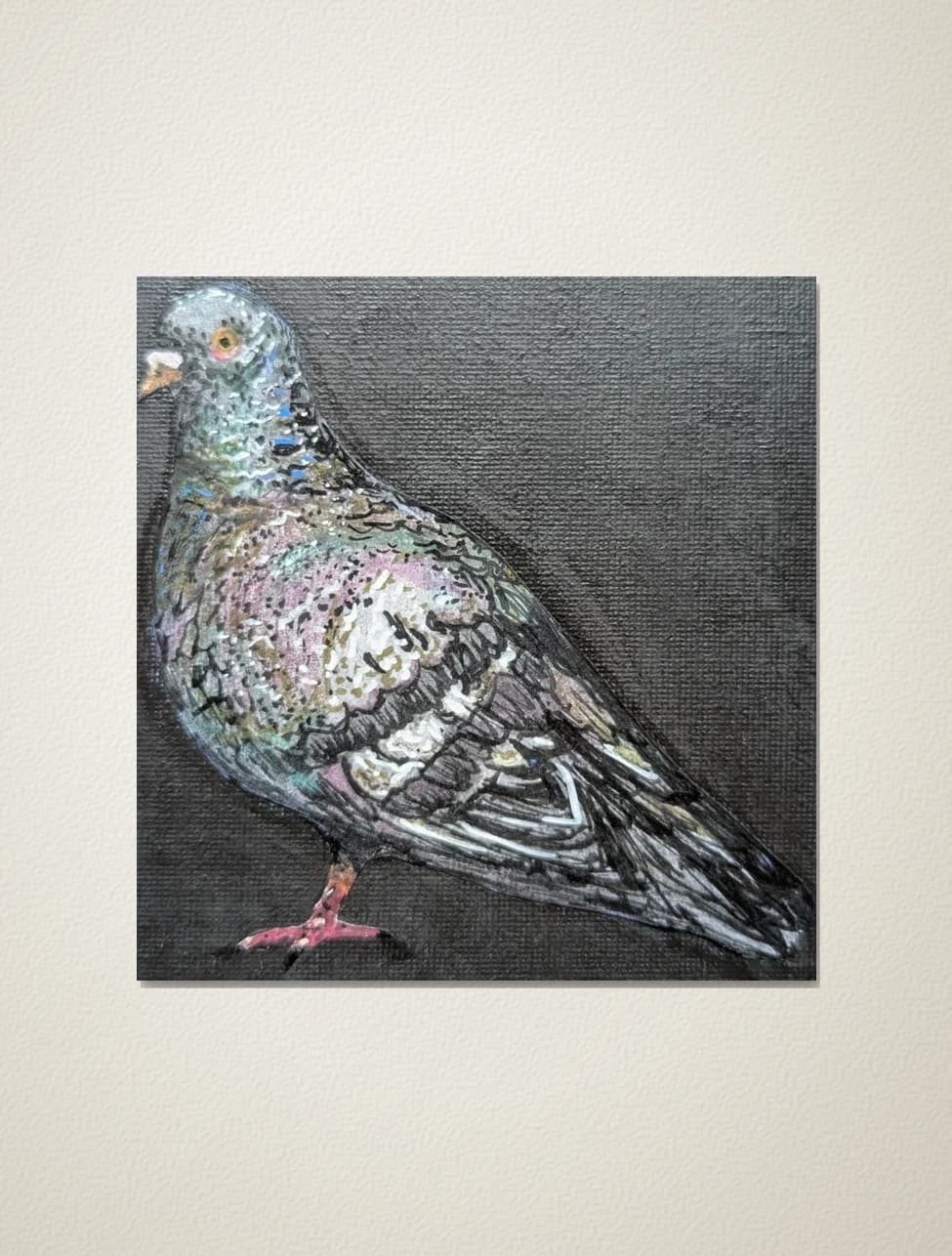 Pigeon