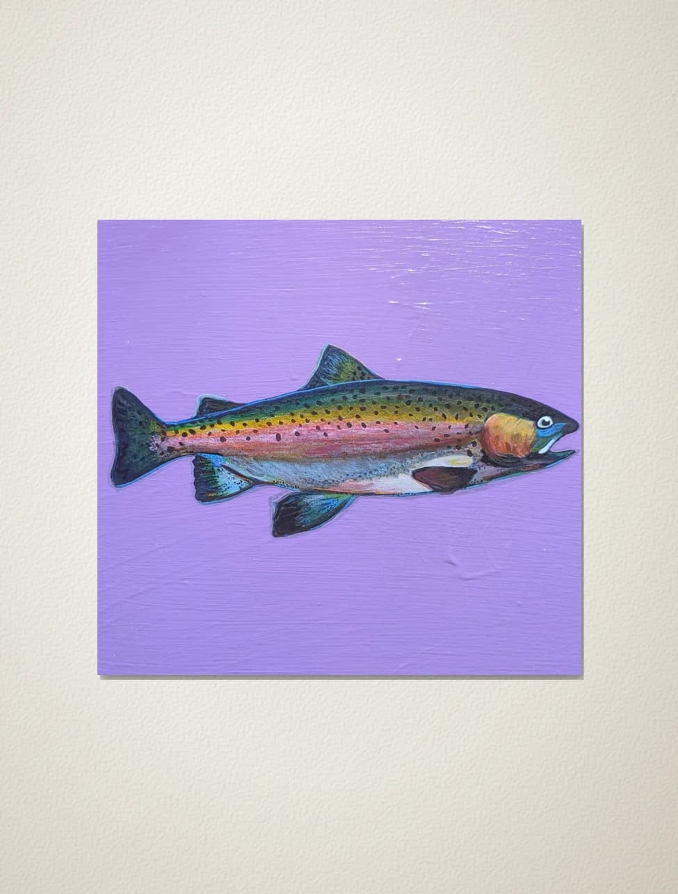 Truite arc-en-ciel