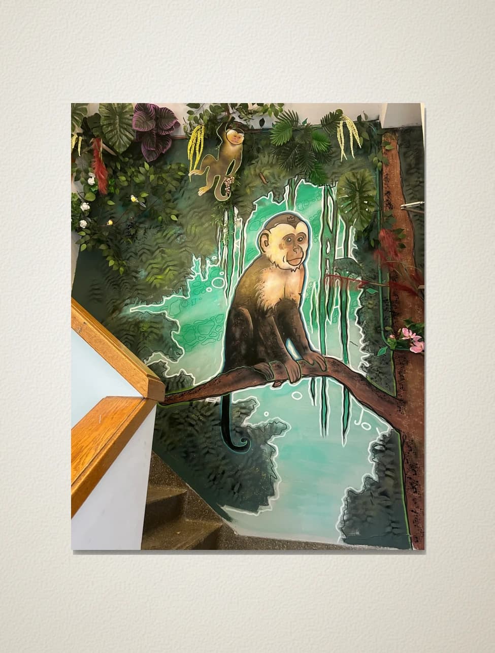 Monkey