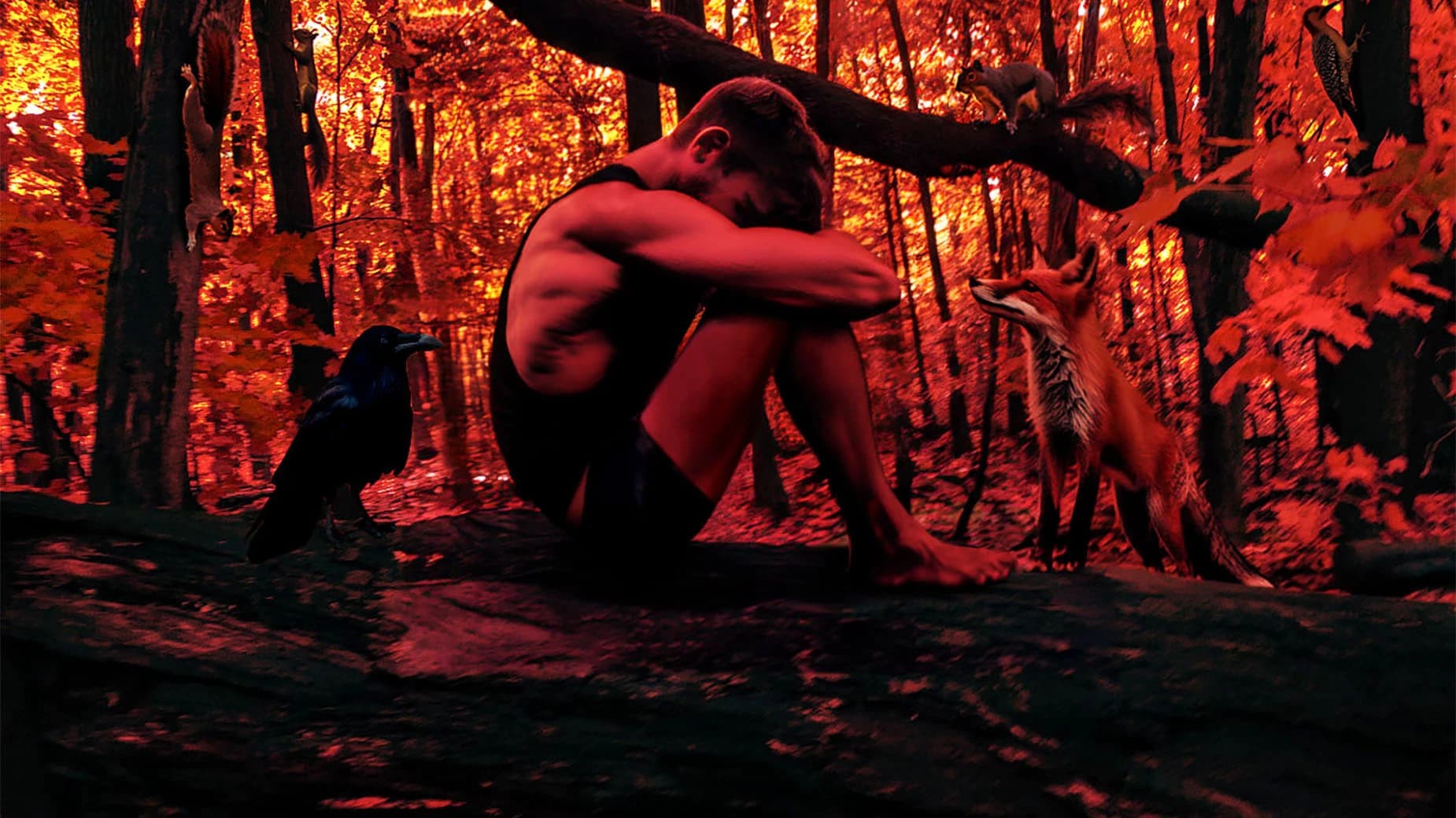 Dans les bois