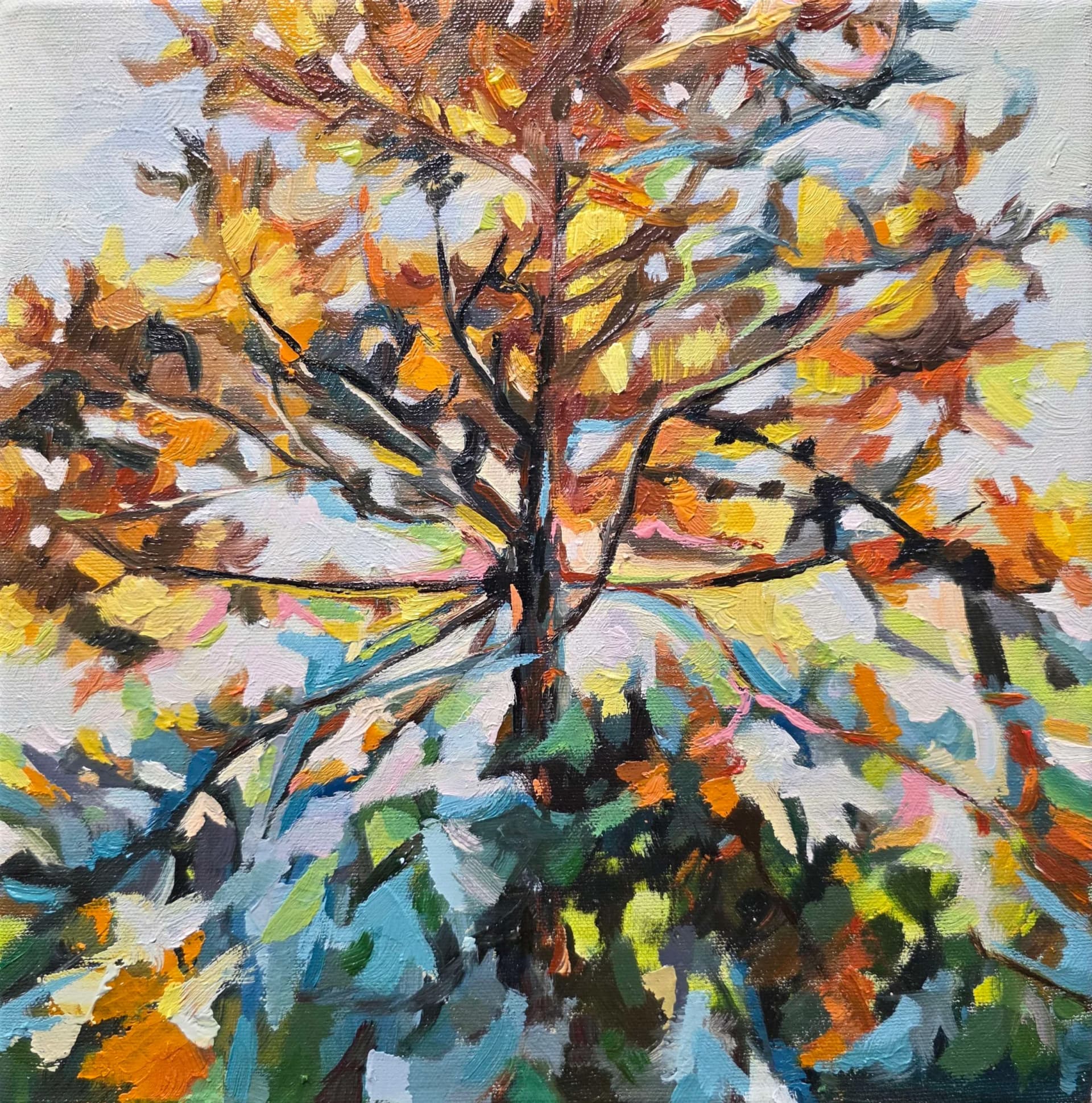 Artist-Lumière douce de l'arbre