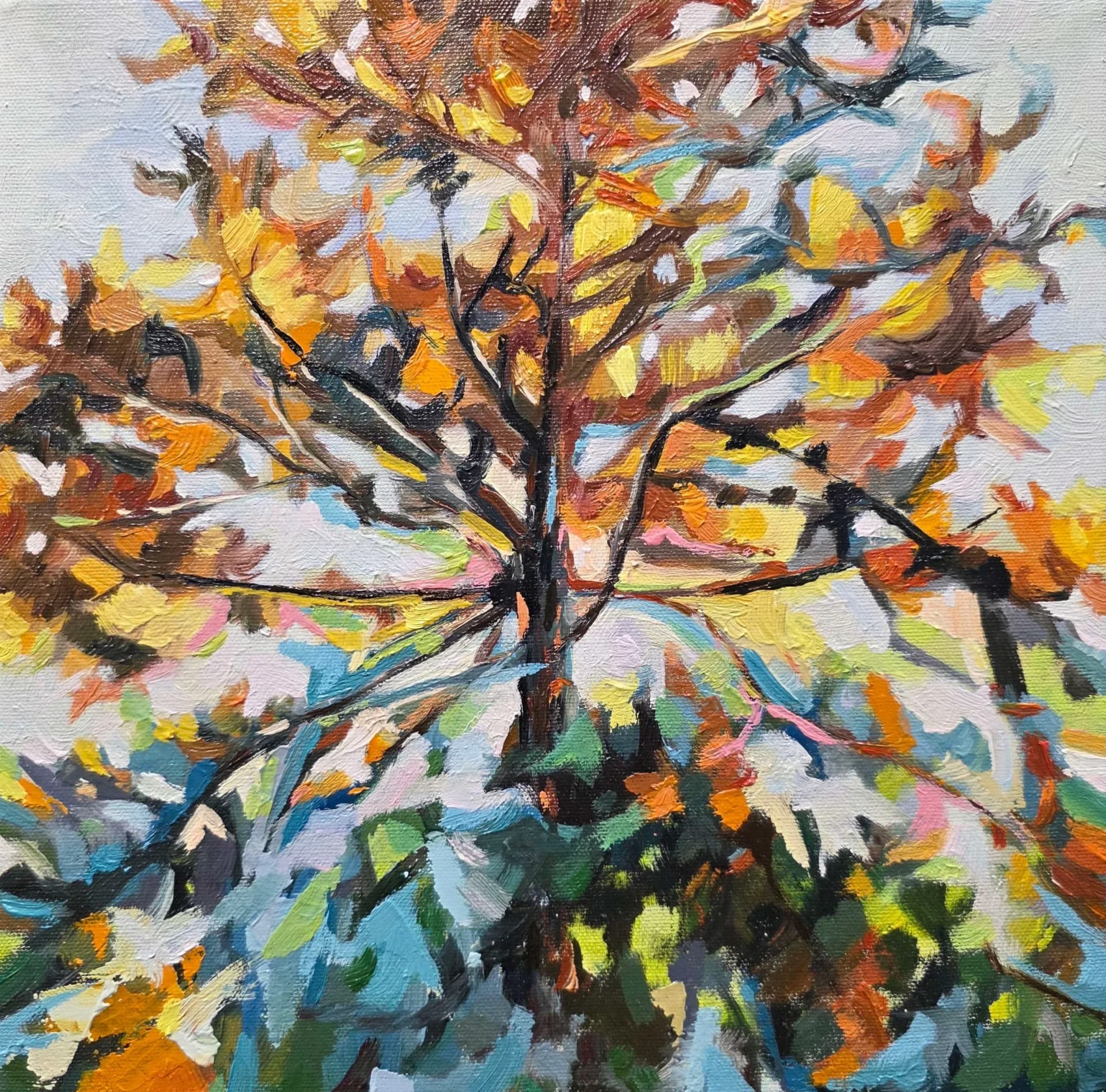 Soft light of tree