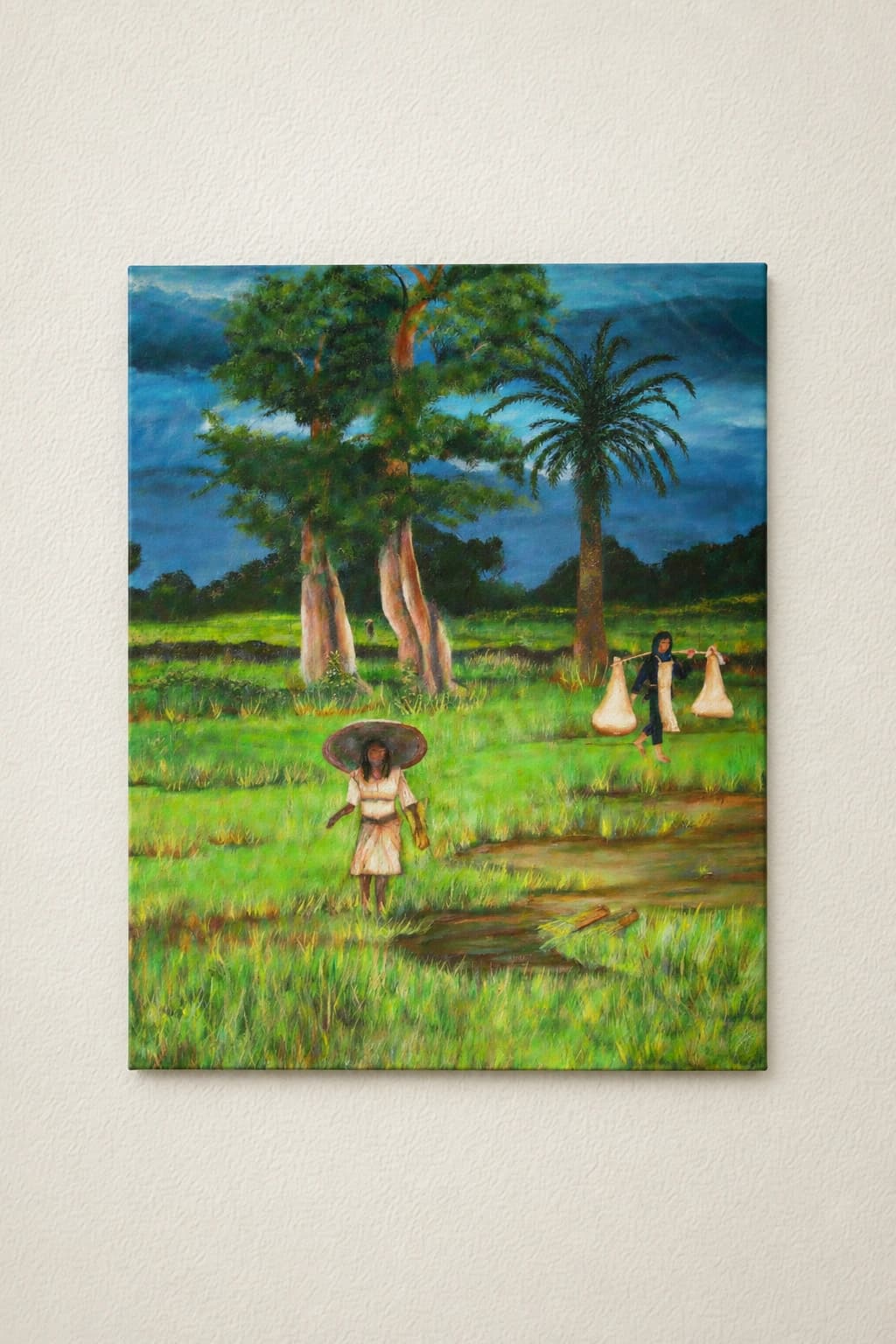 Rice field