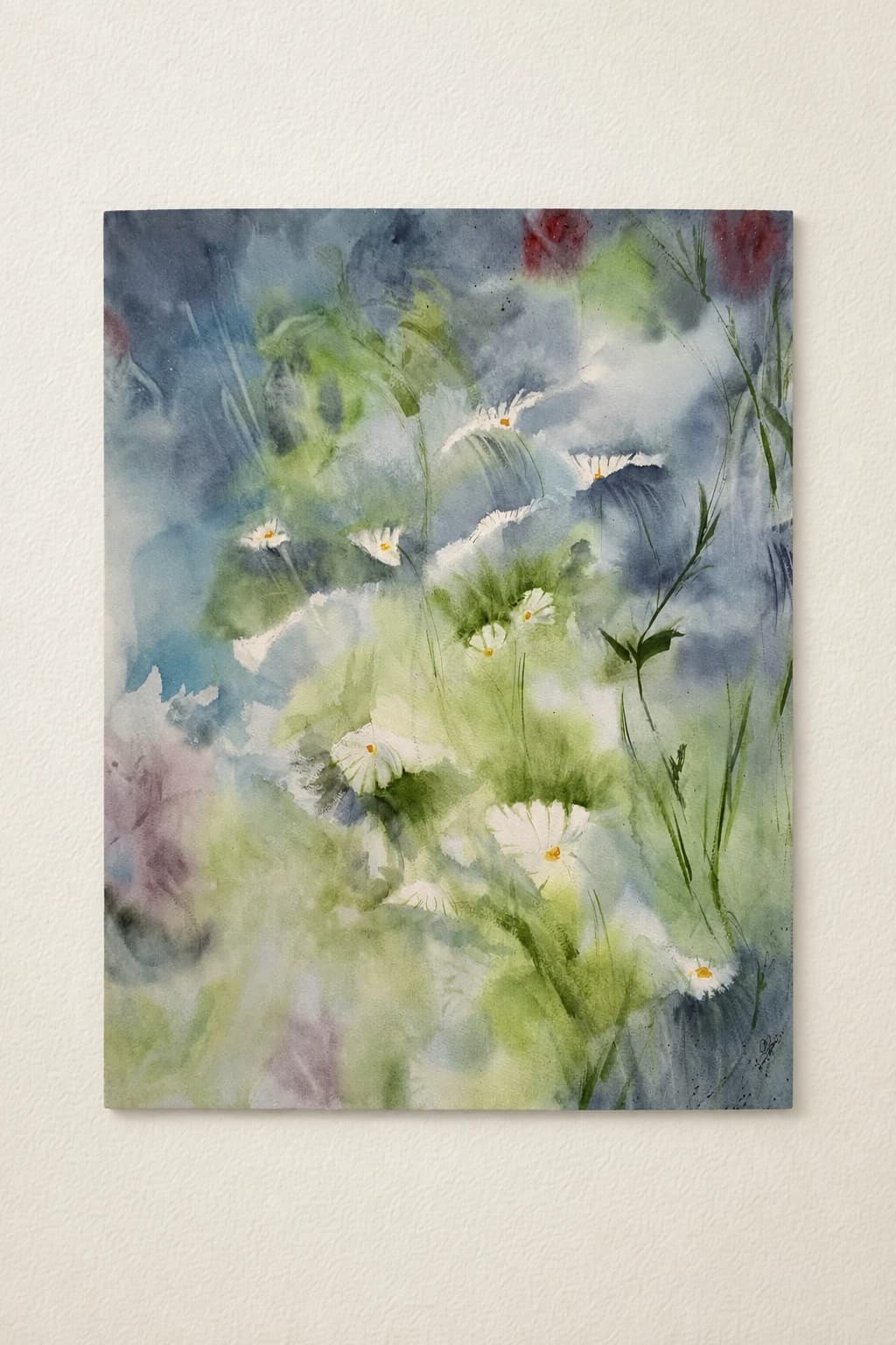 Field of daisies