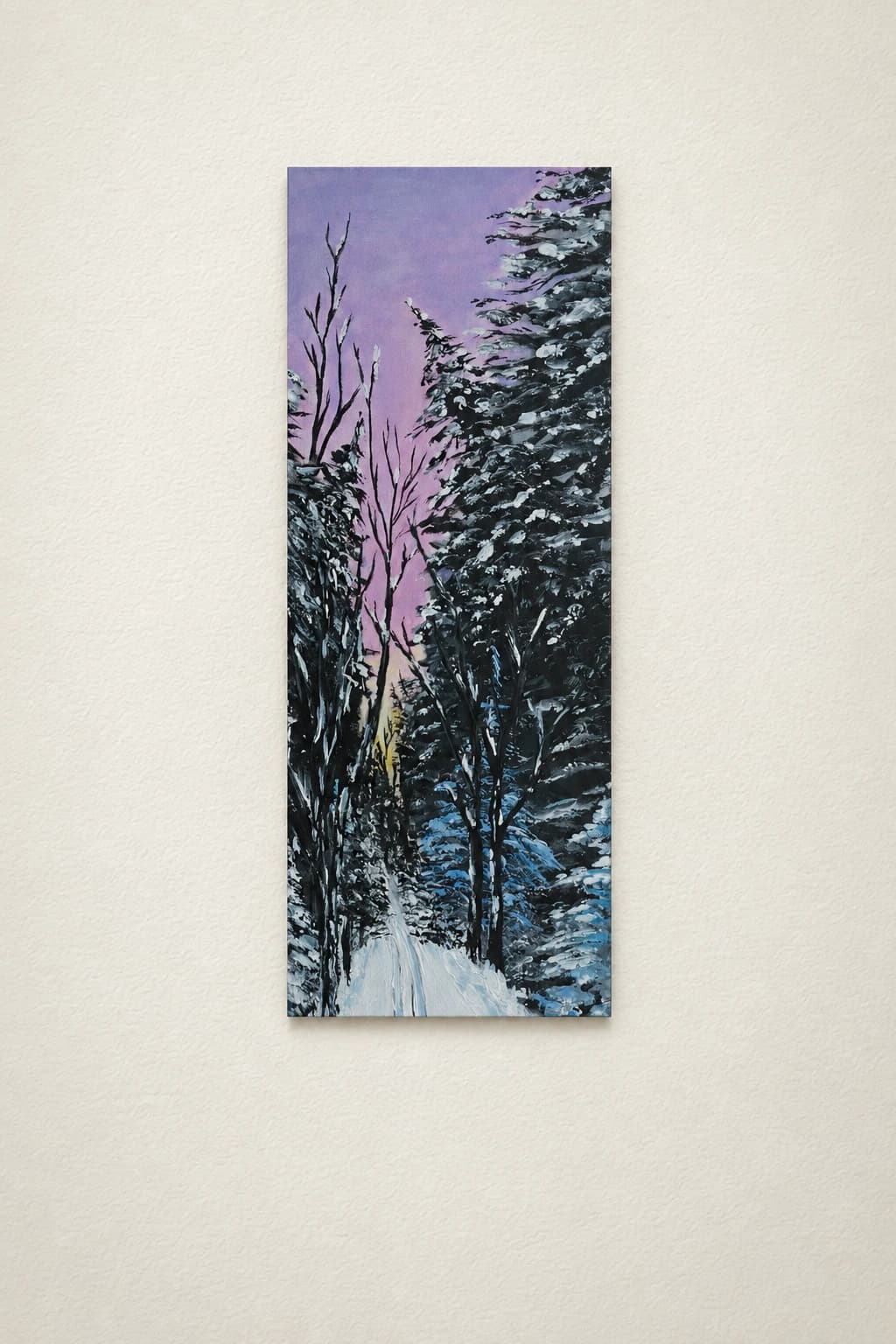 Ski de fond
