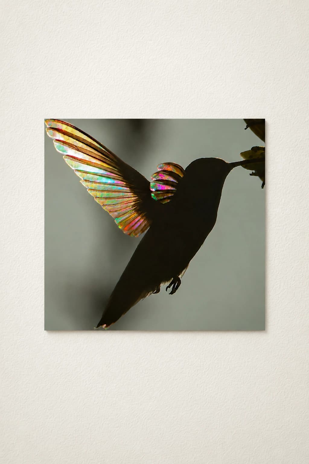 A hummingbird with rainbow-colored wings
