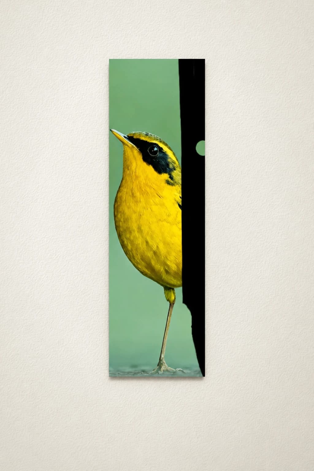Bird Break