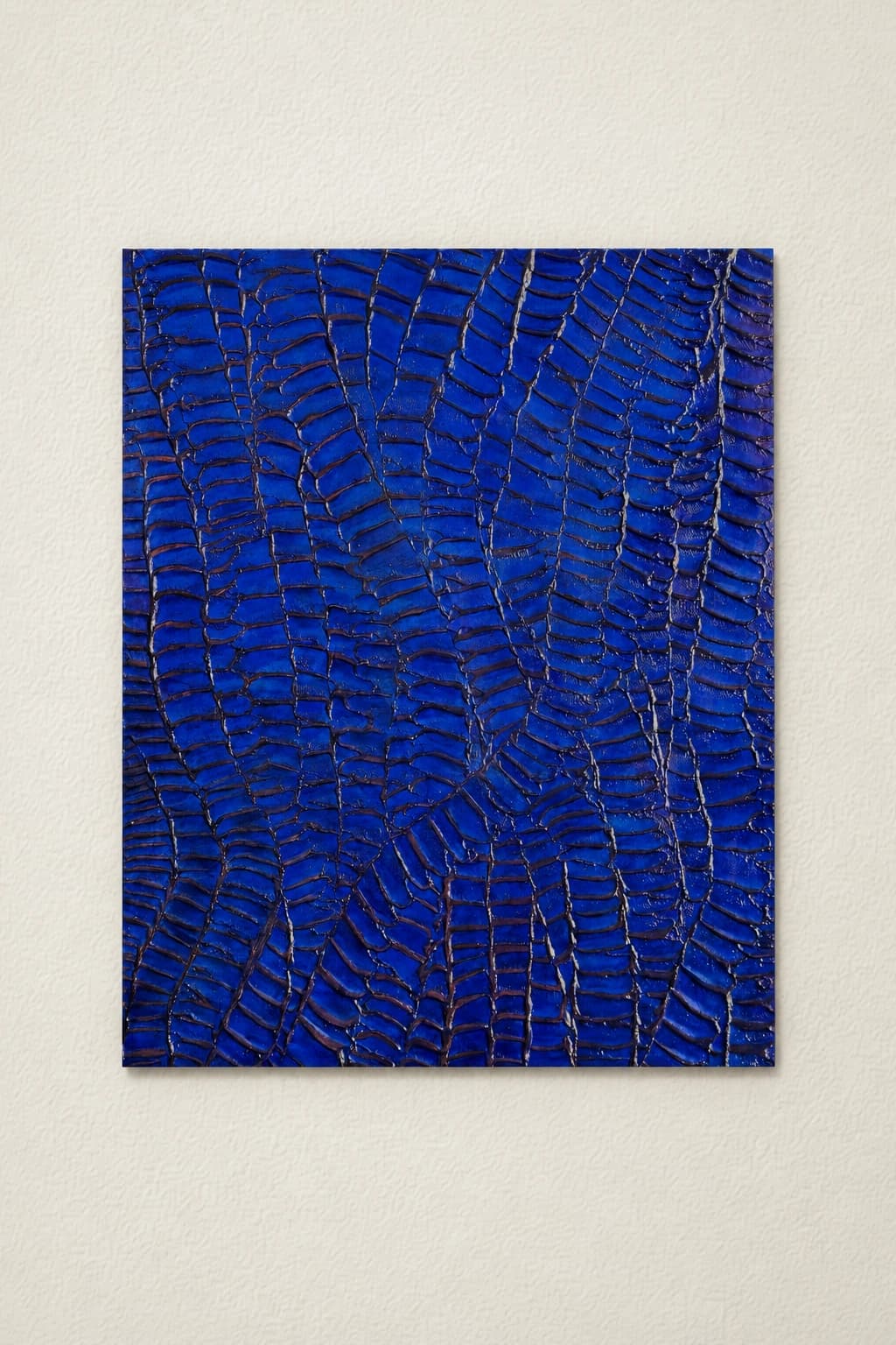 Crocodile red and bleue