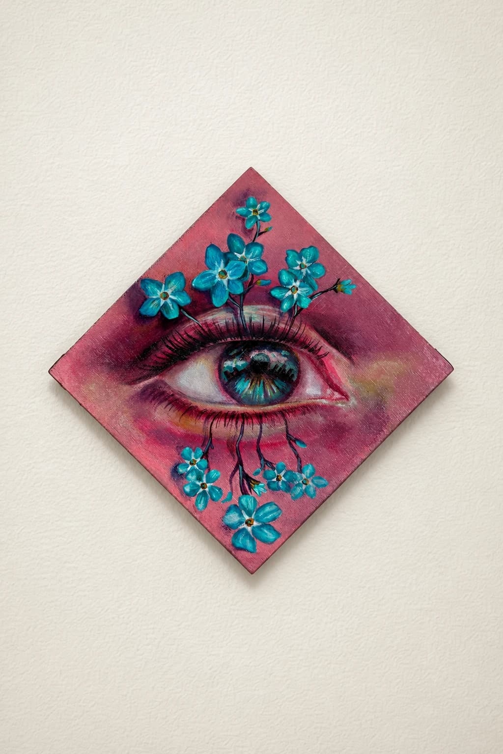 Myosotis