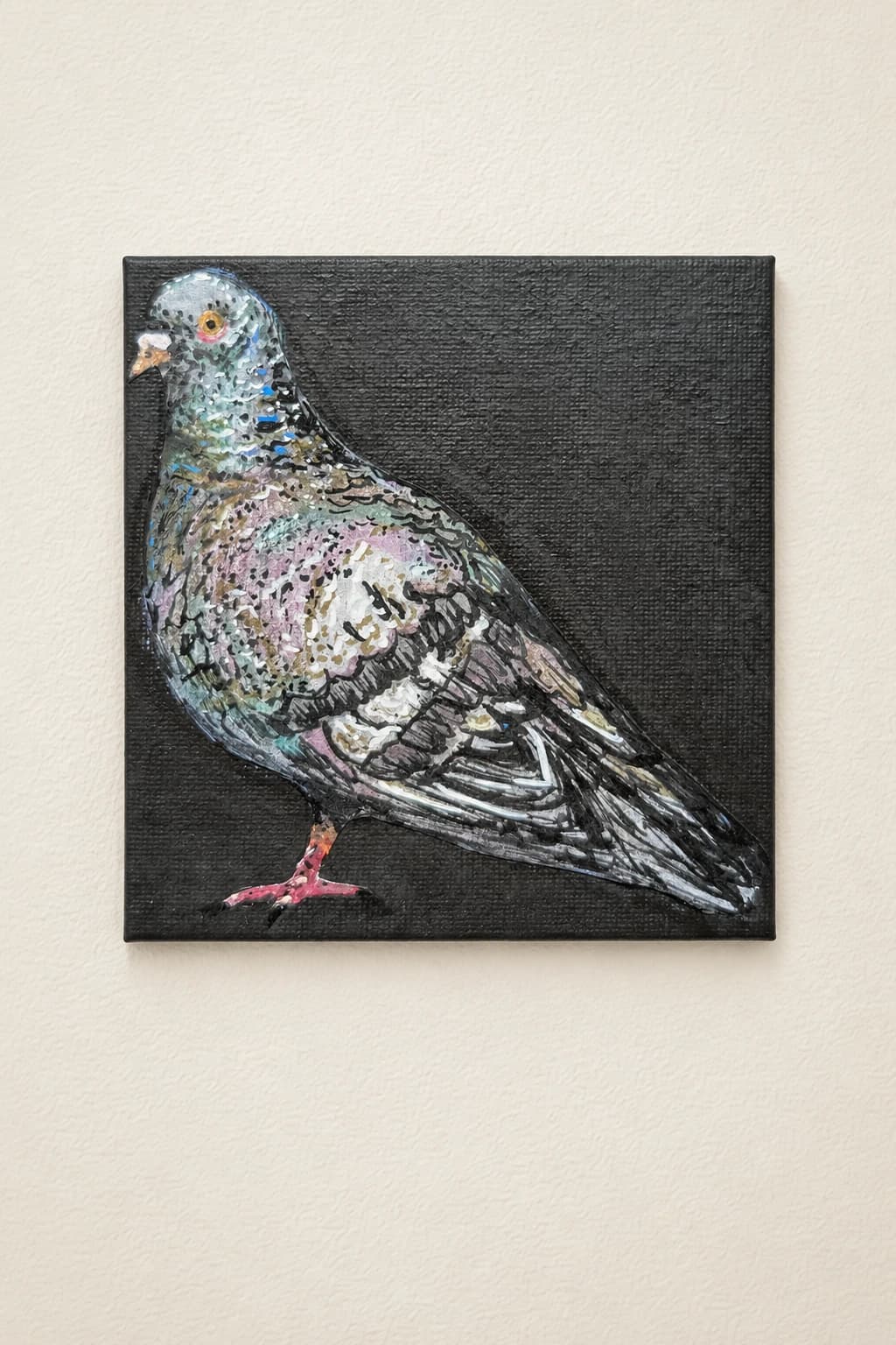 Pigeon