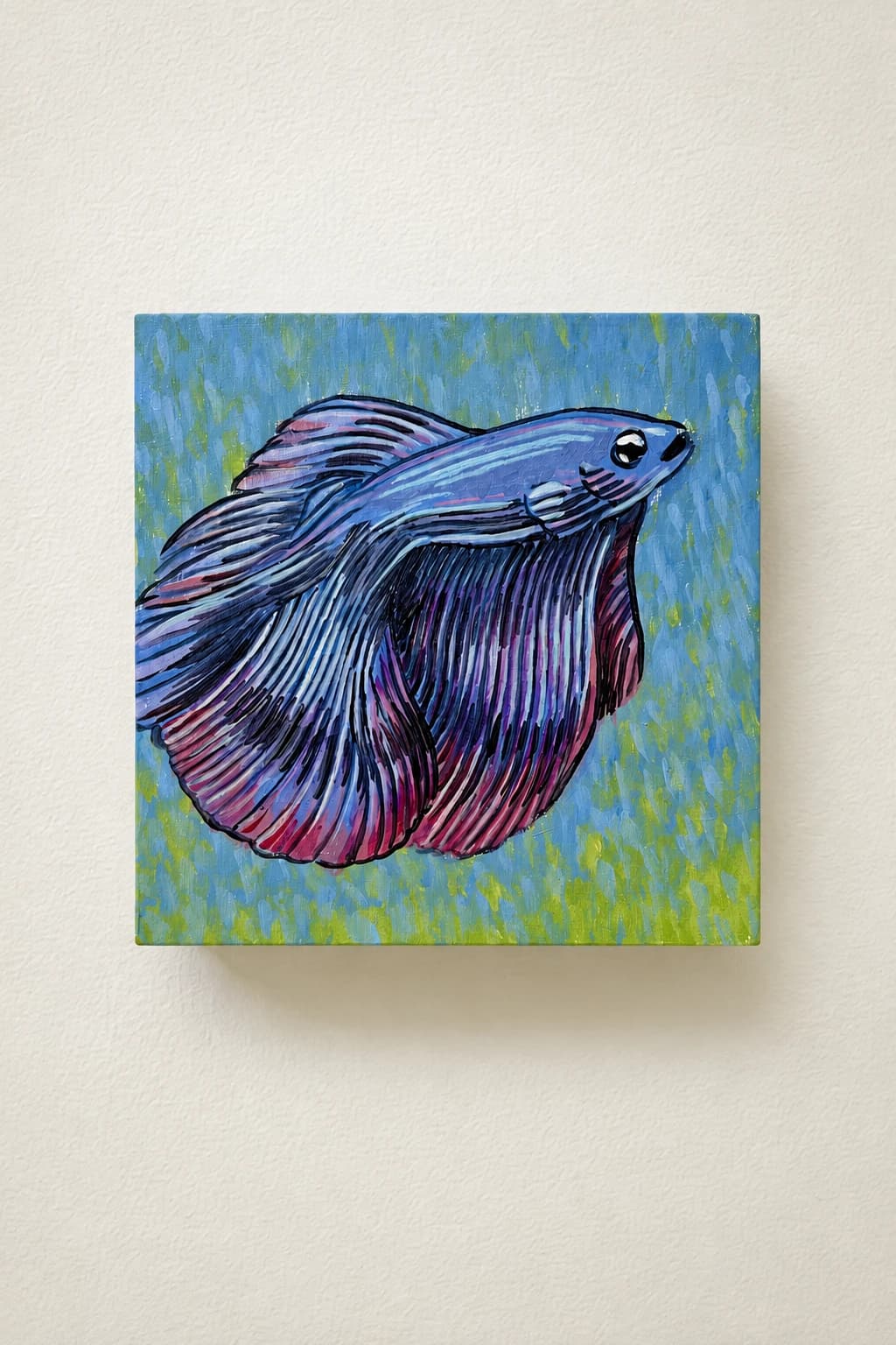 Betta Halfmoon