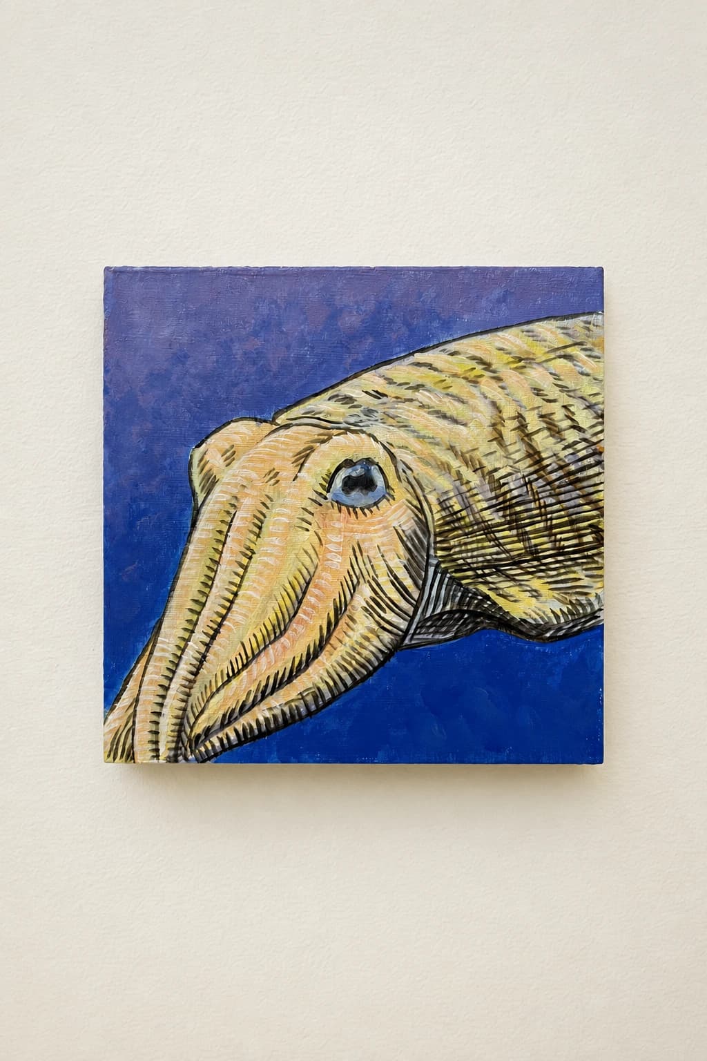 Cuttlefish