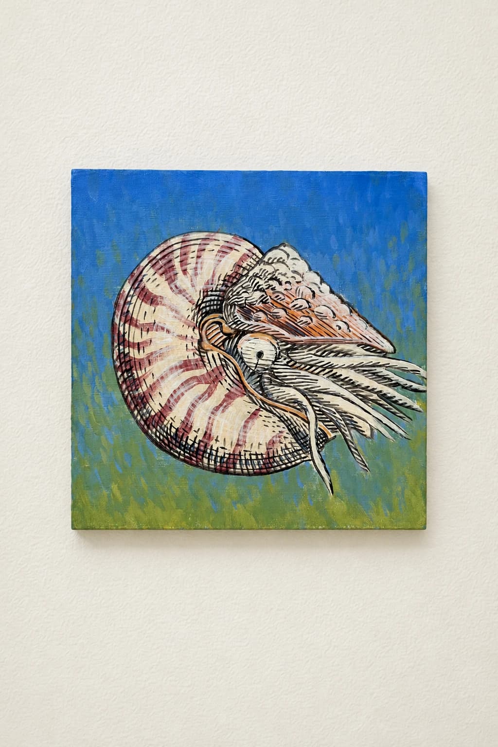 Nautilus