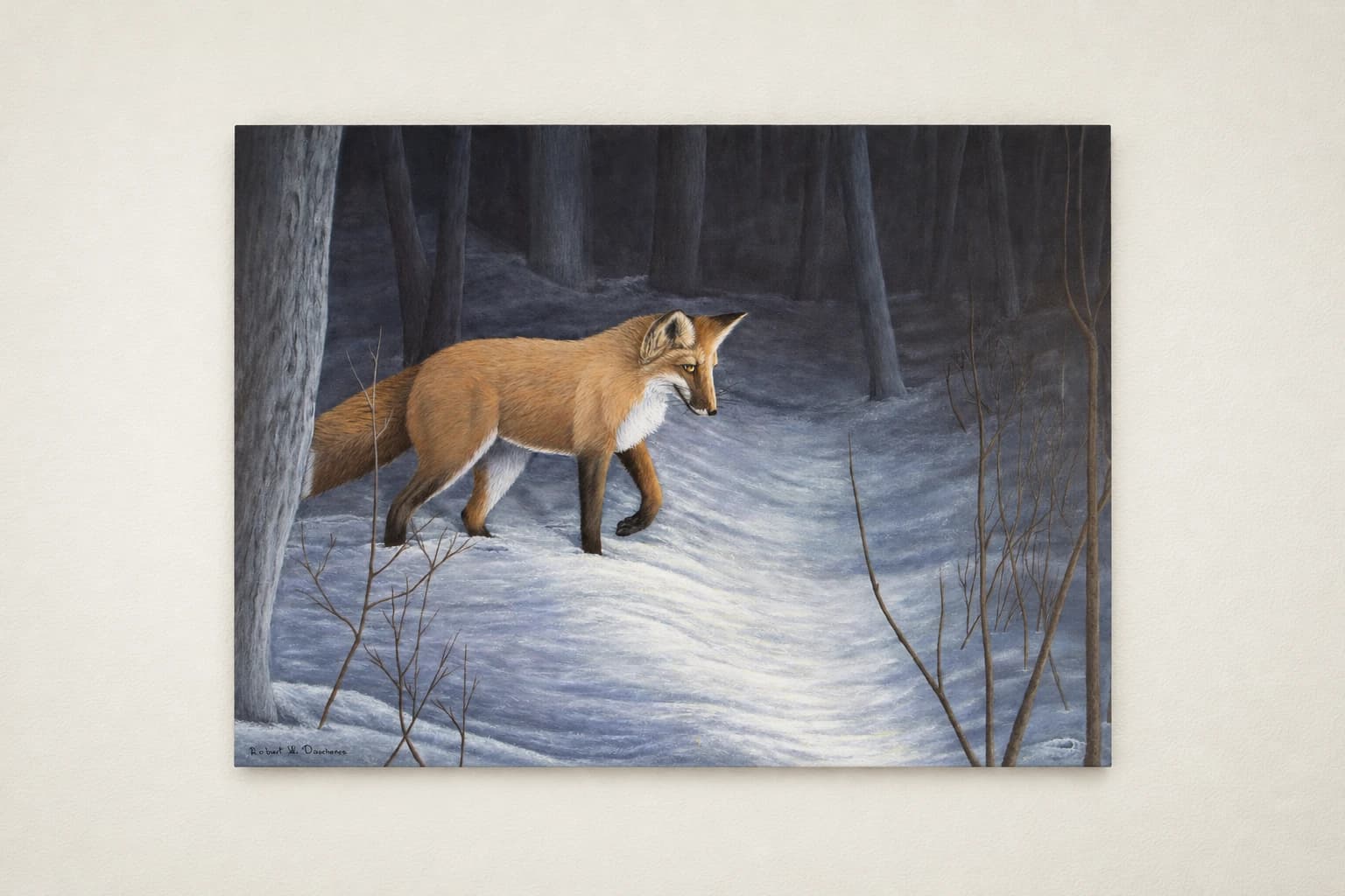 Renard Roux