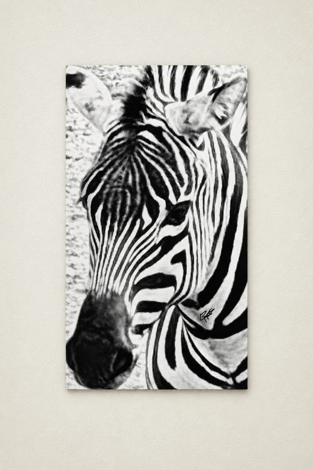Zelda the Zebra