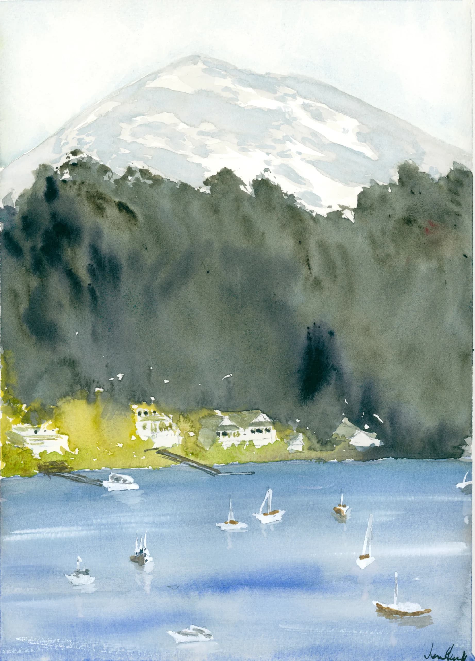 Artist-Gig Harbour